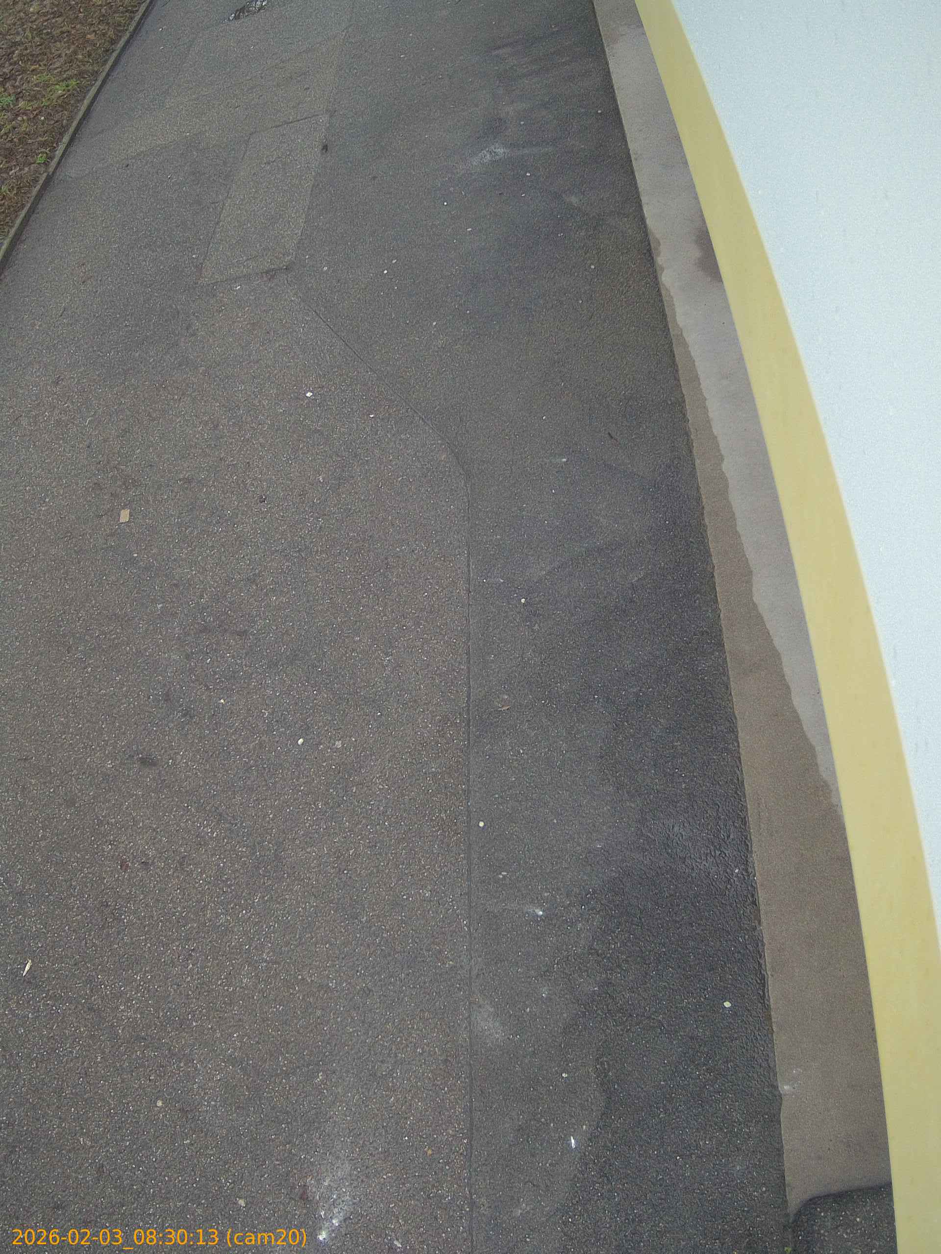 thumbnail_20260203083013