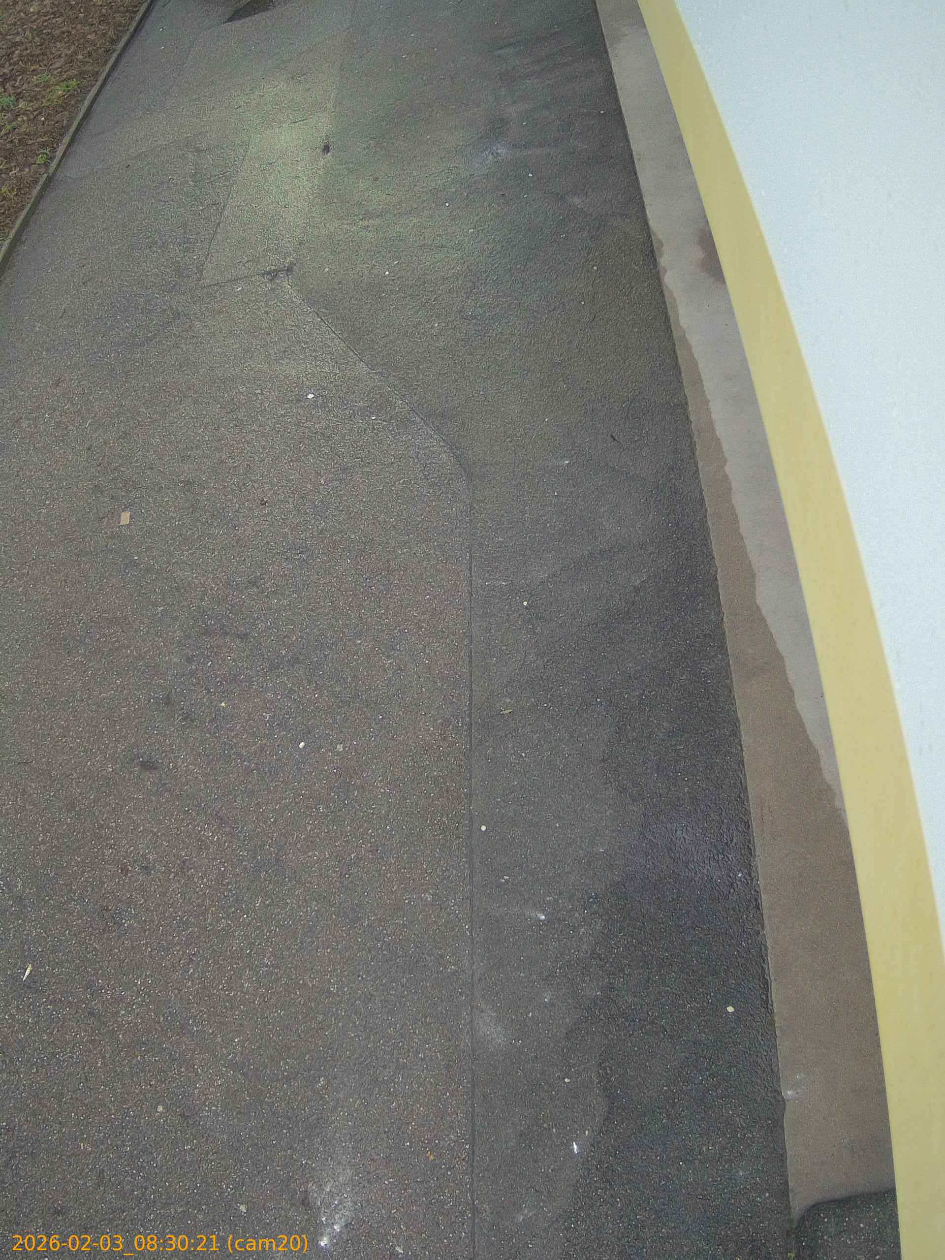 thumbnail_20260203083021