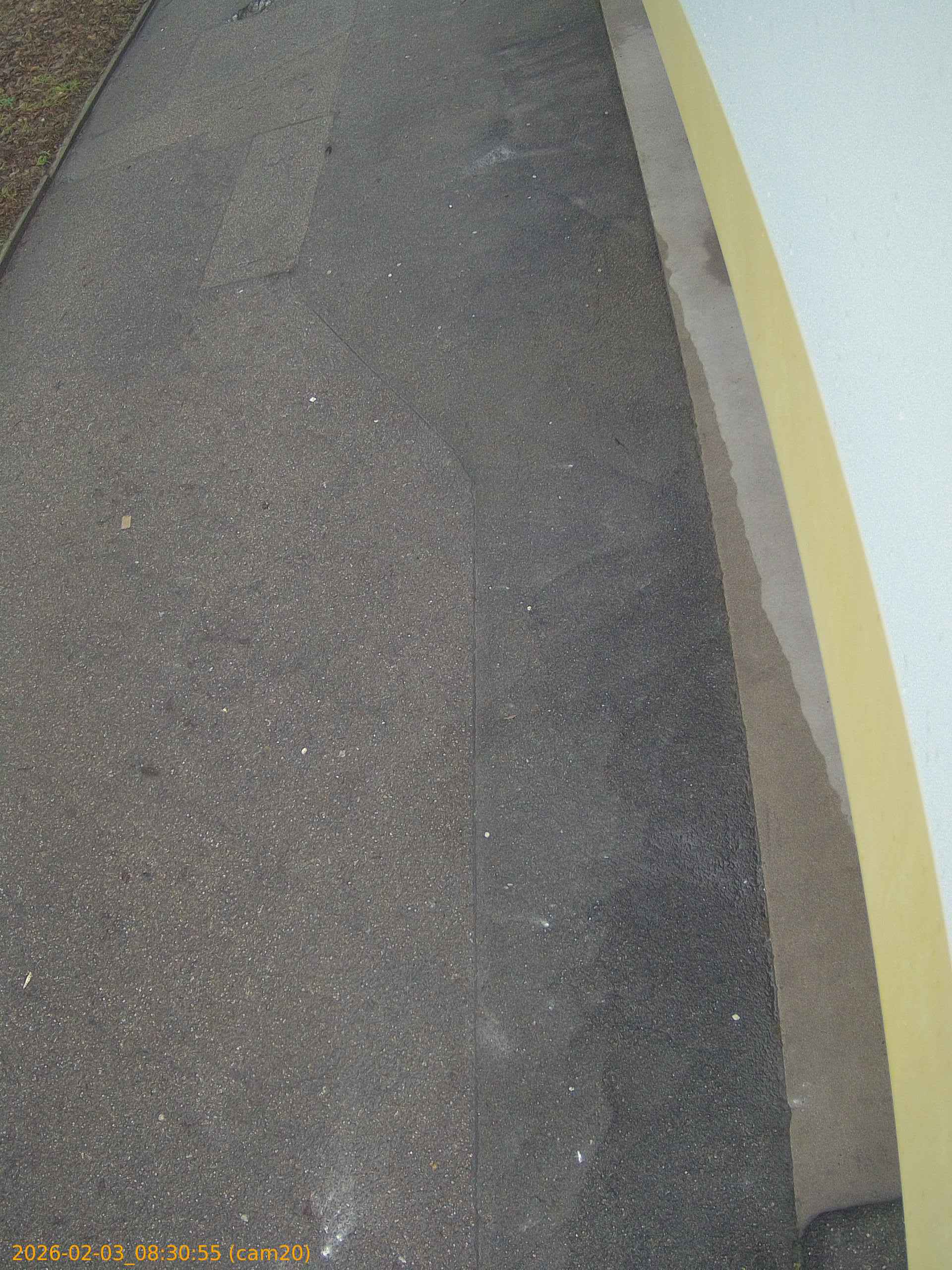 thumbnail_20260203083055