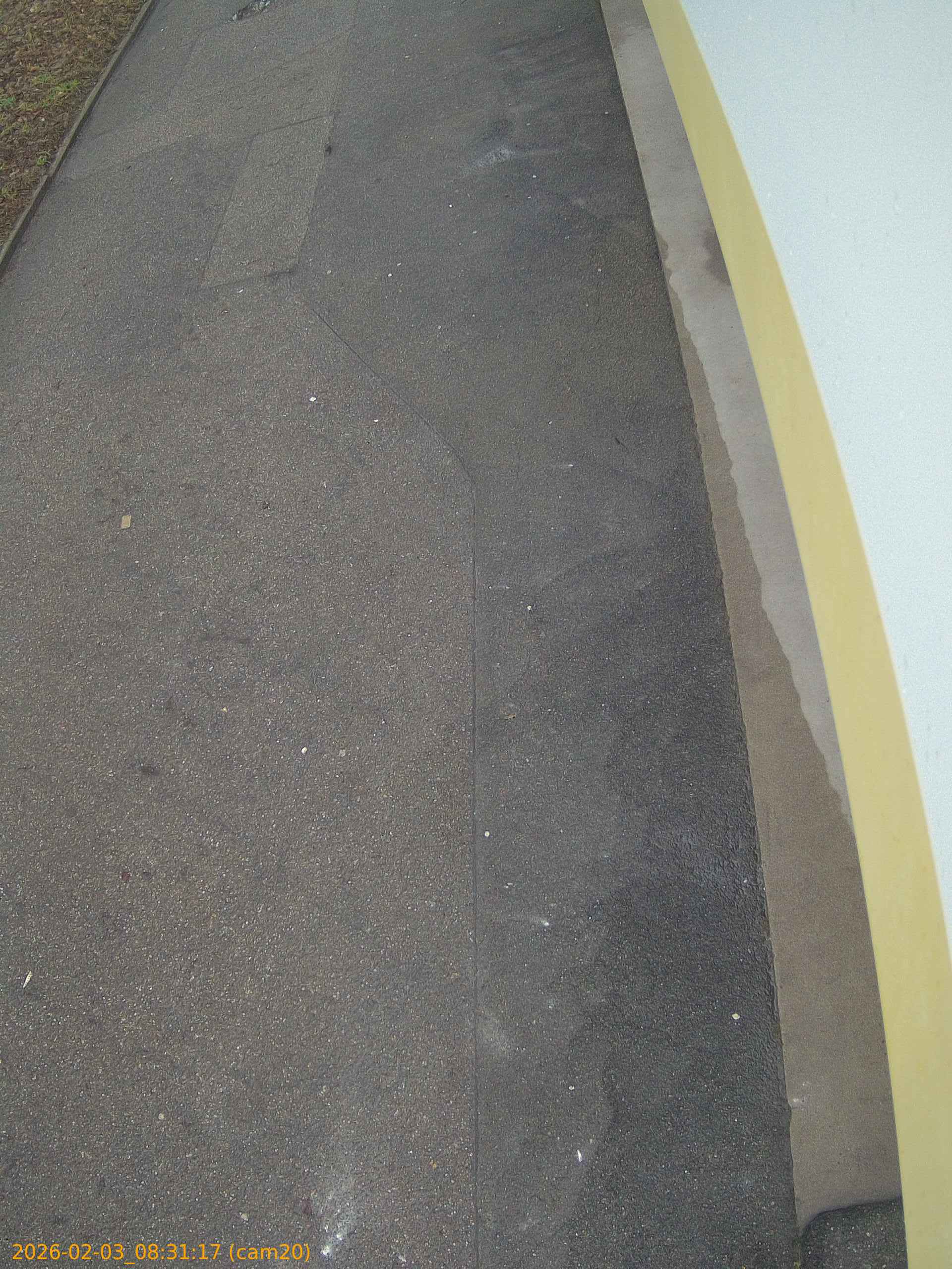 thumbnail_20260203083117