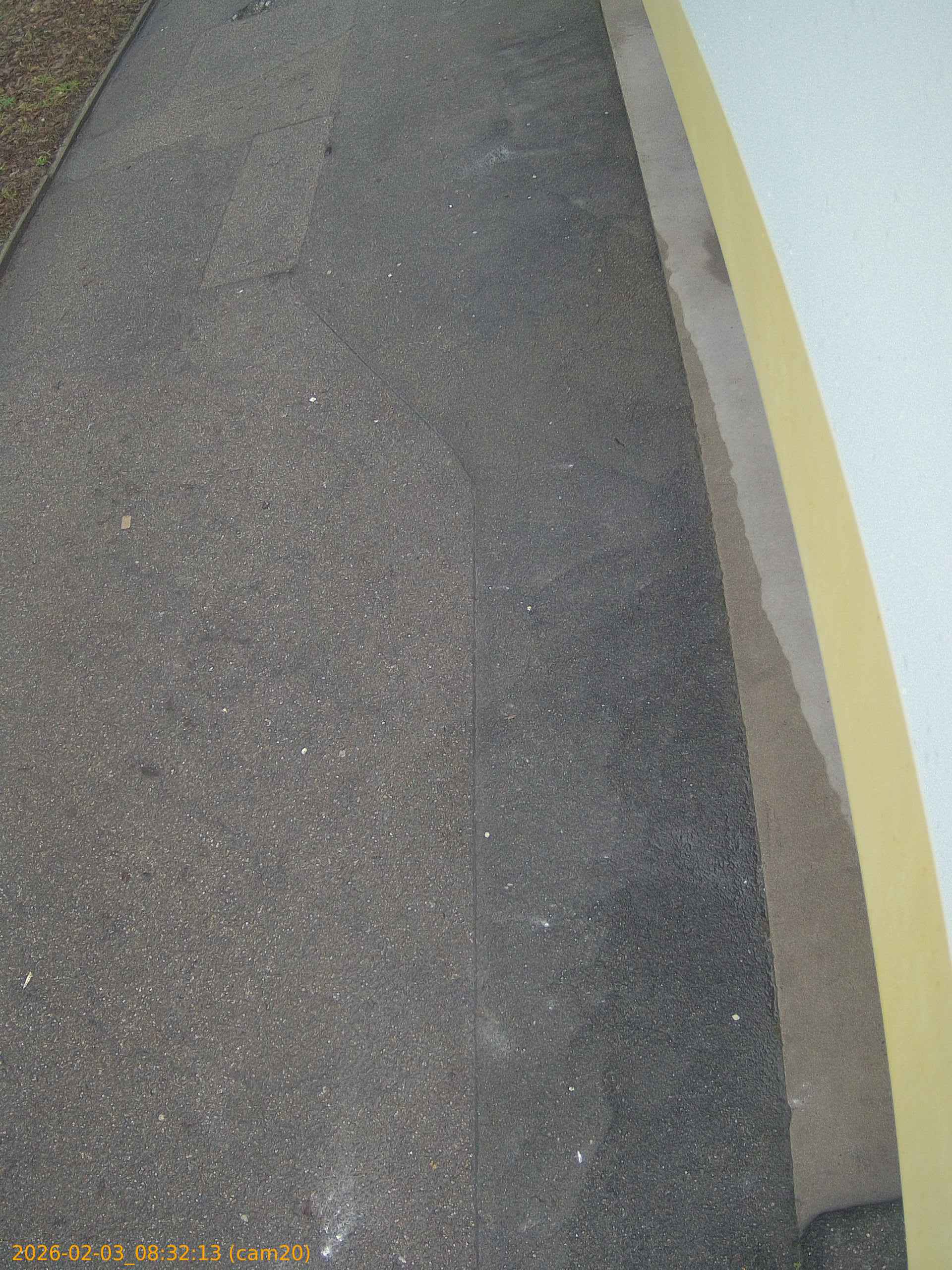 thumbnail_20260203083213