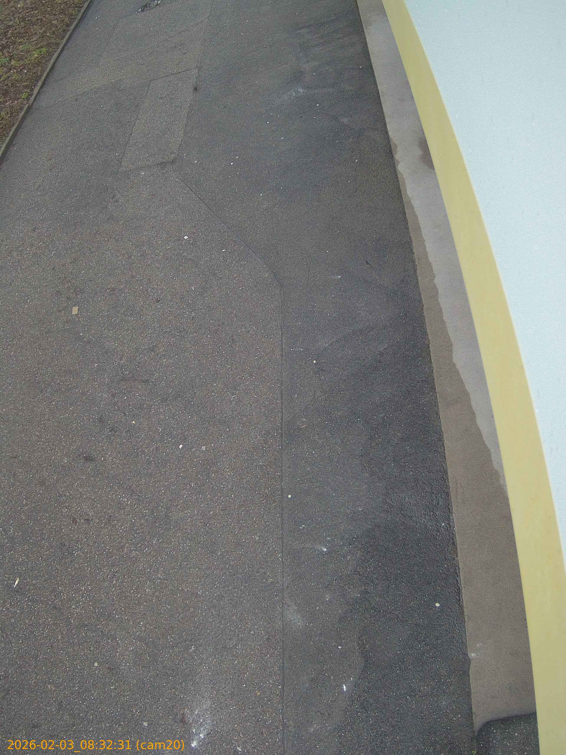 thumbnail_20260203083231