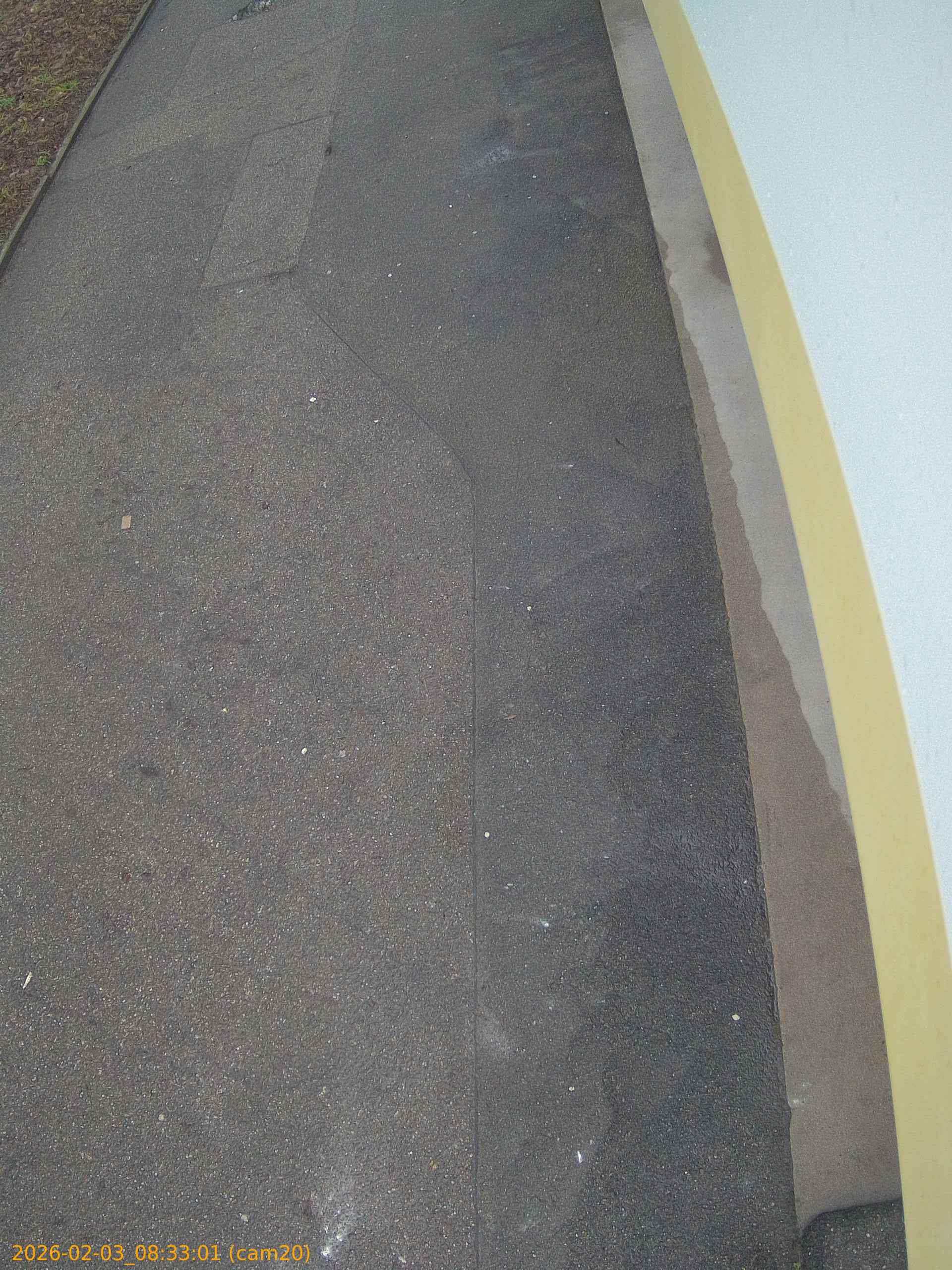 thumbnail_20260203083301