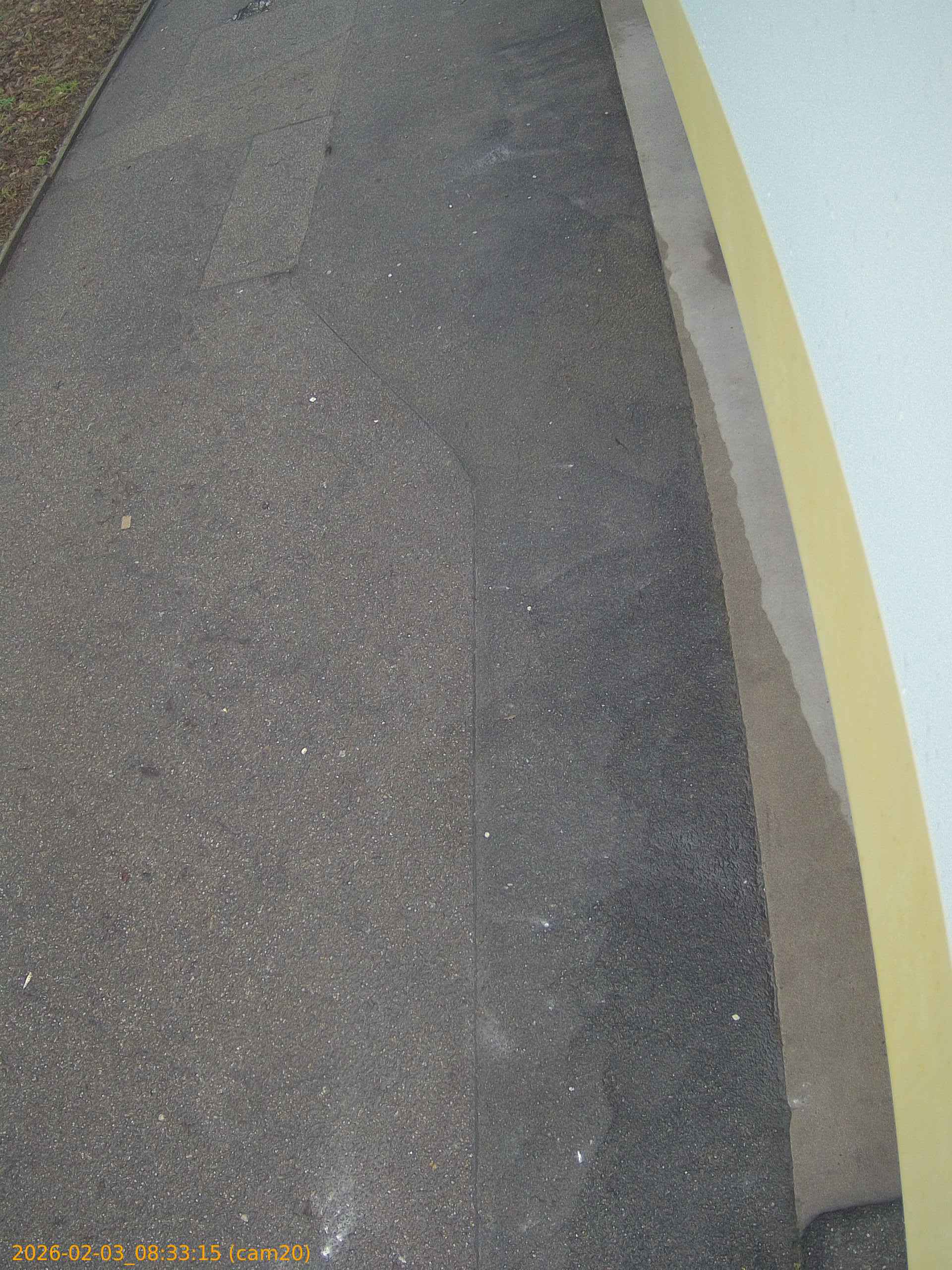 thumbnail_20260203083315