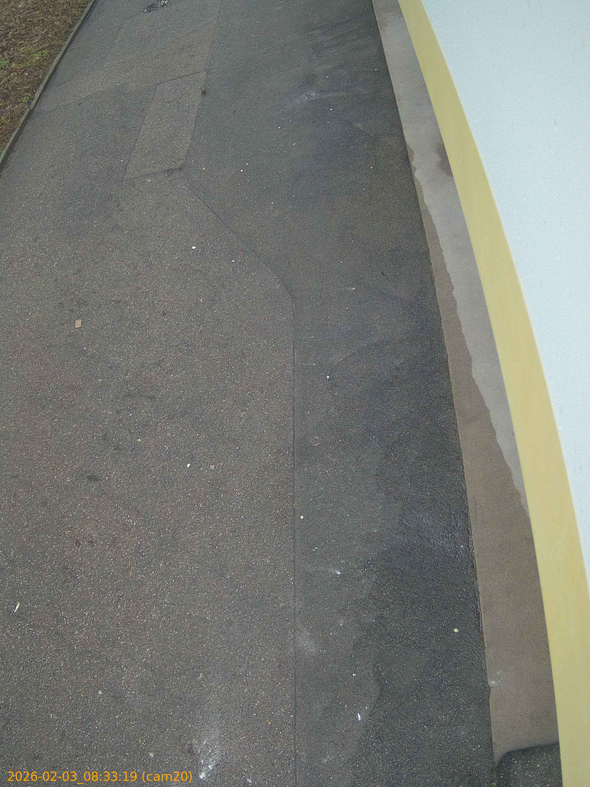 thumbnail_20260203083319