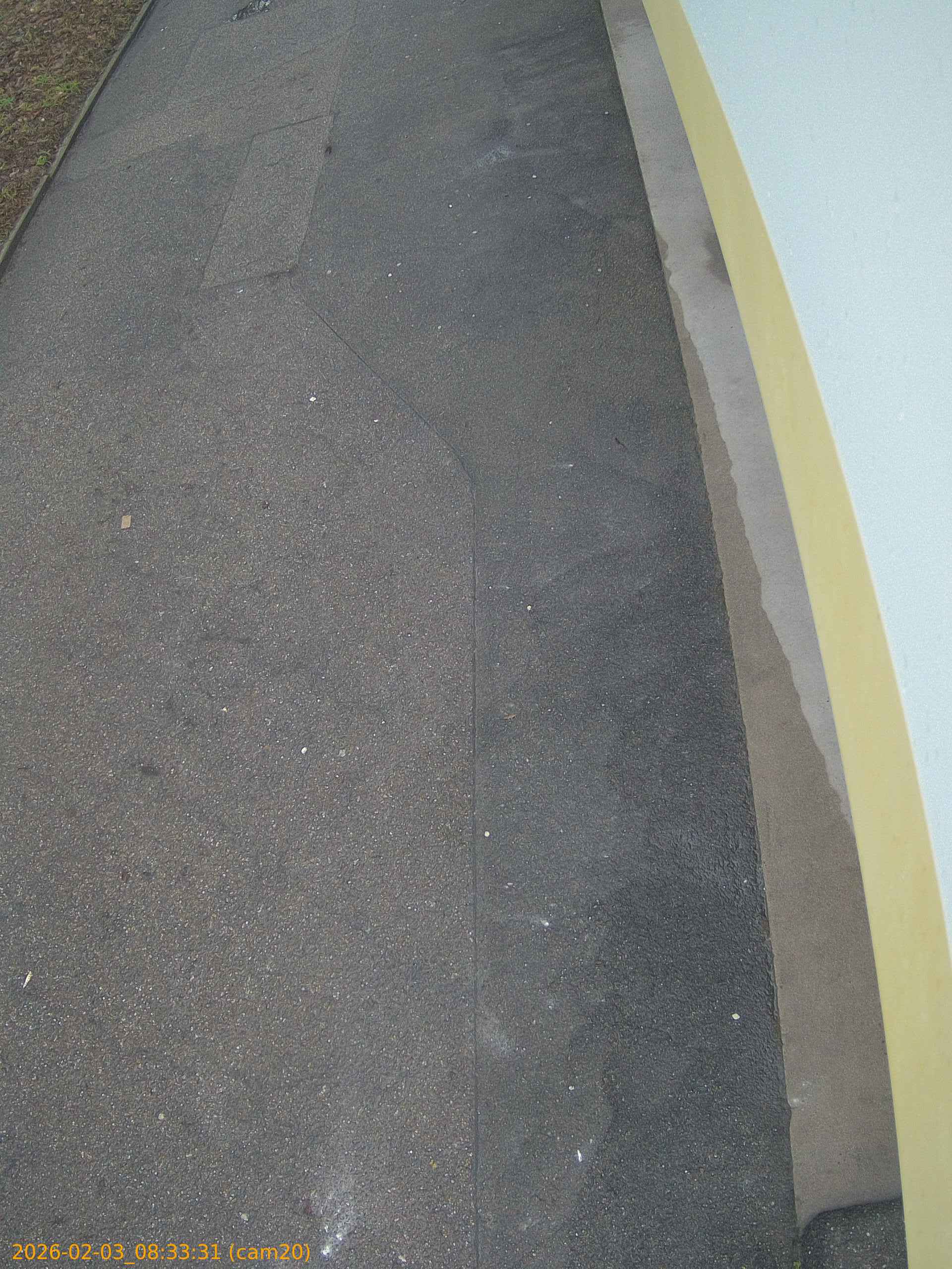 thumbnail_20260203083331