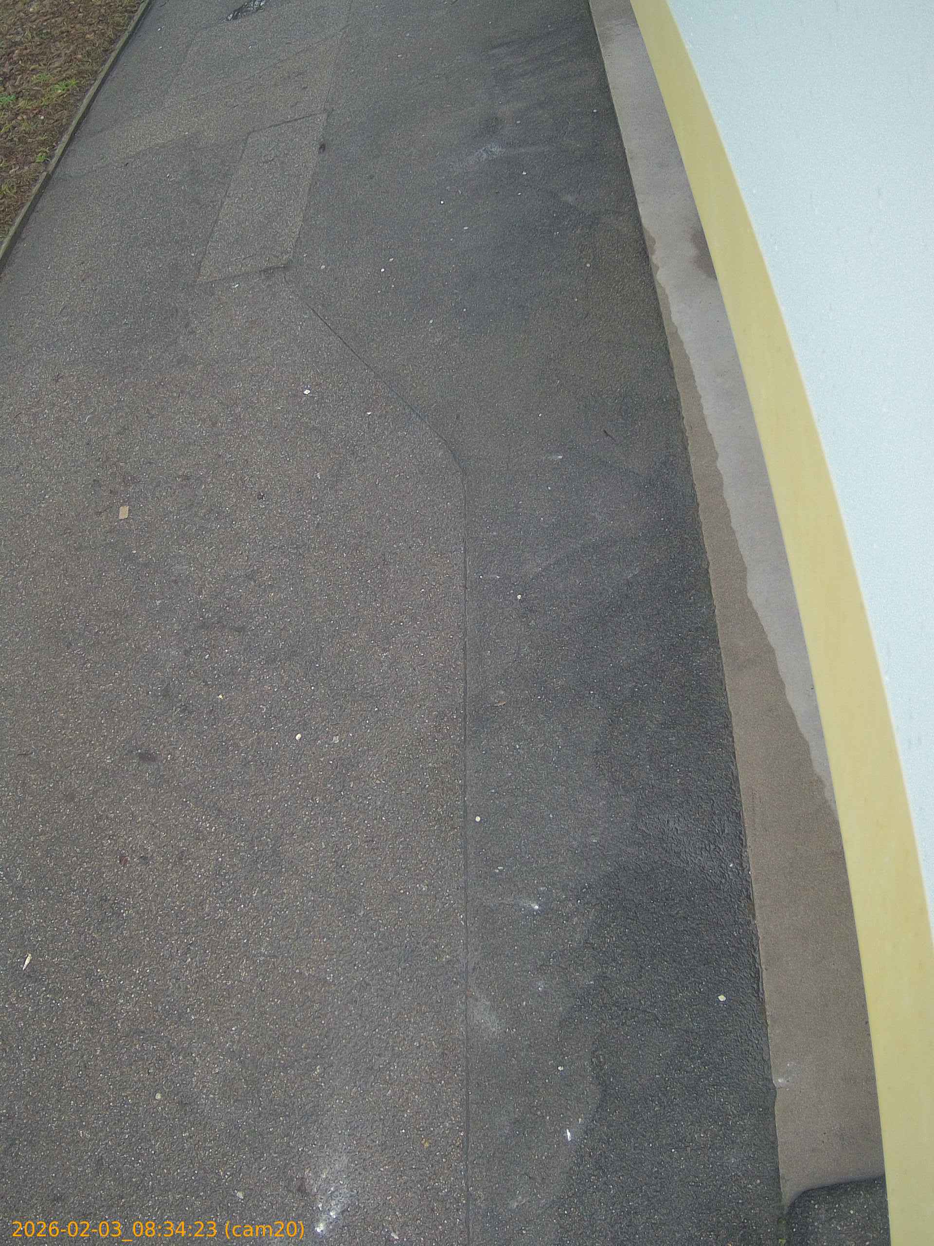 thumbnail_20260203083423