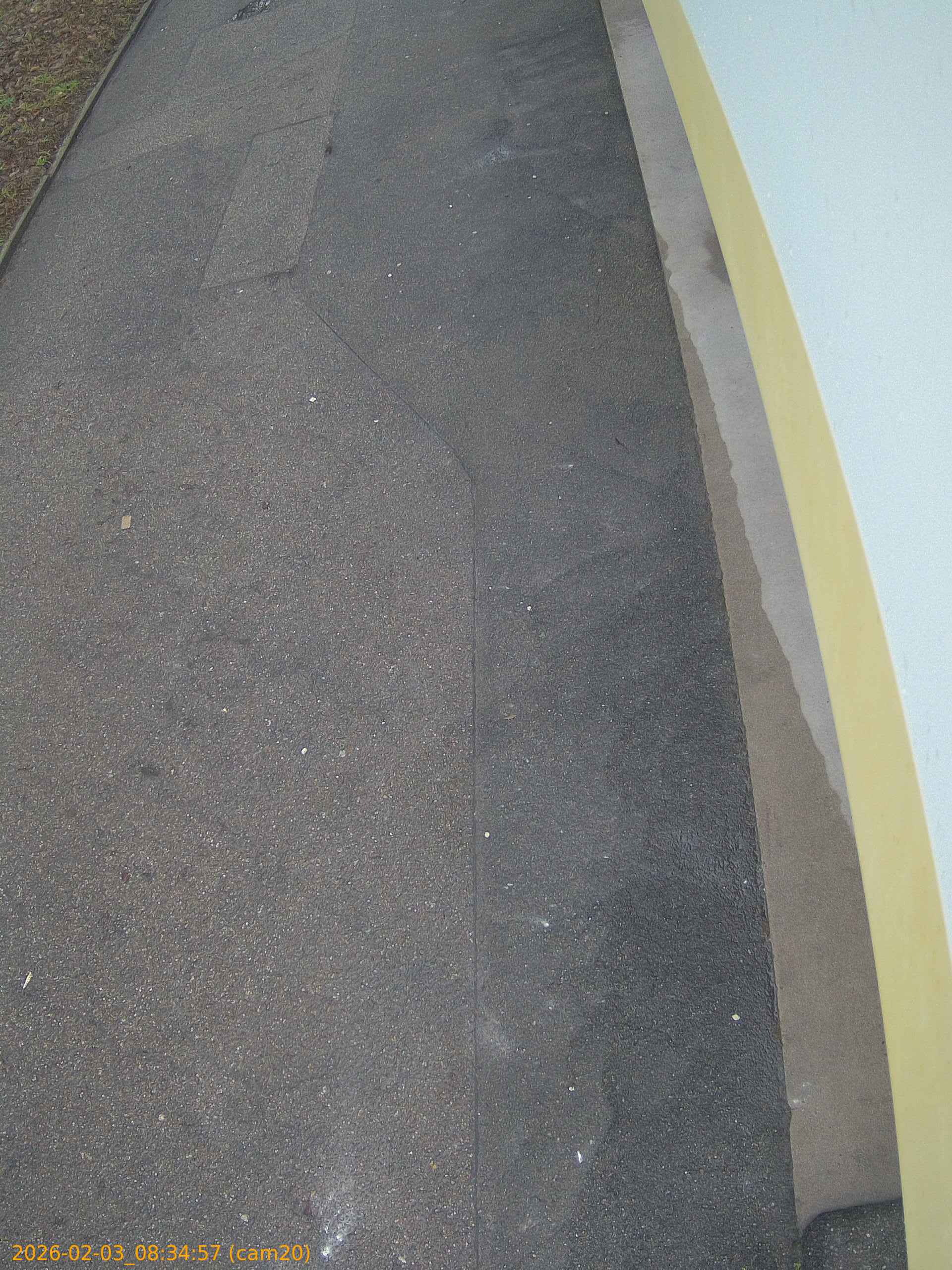 thumbnail_20260203083457