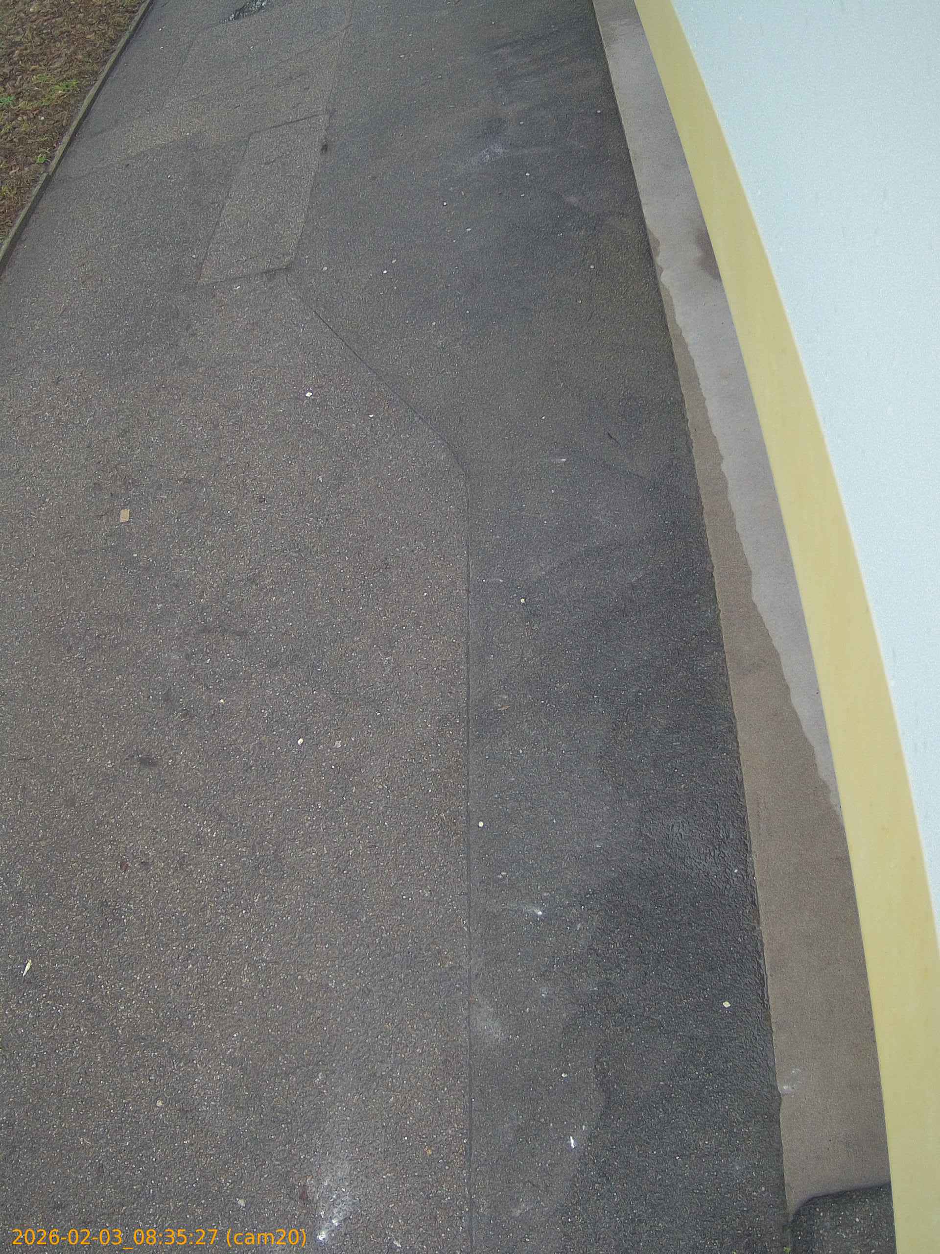 thumbnail_20260203083527