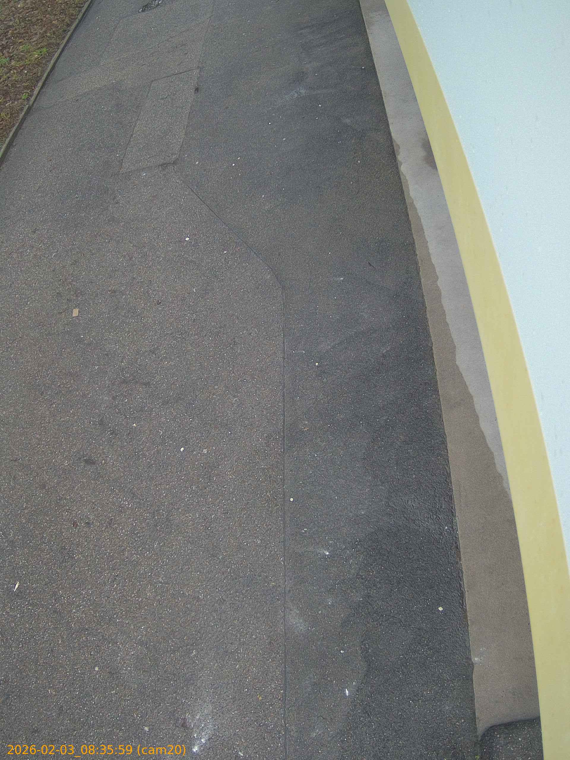 thumbnail_20260203083559