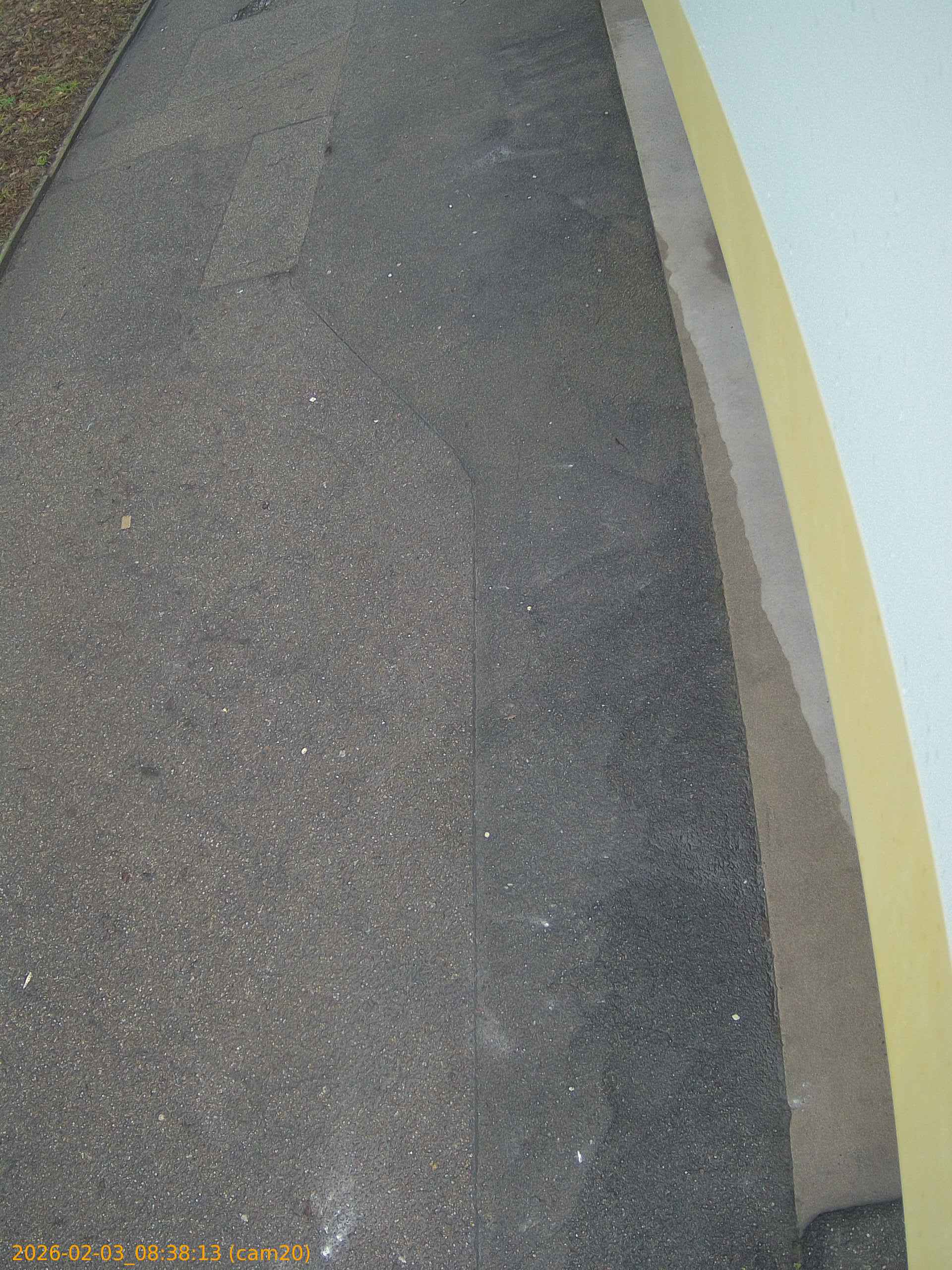 thumbnail_20260203083813