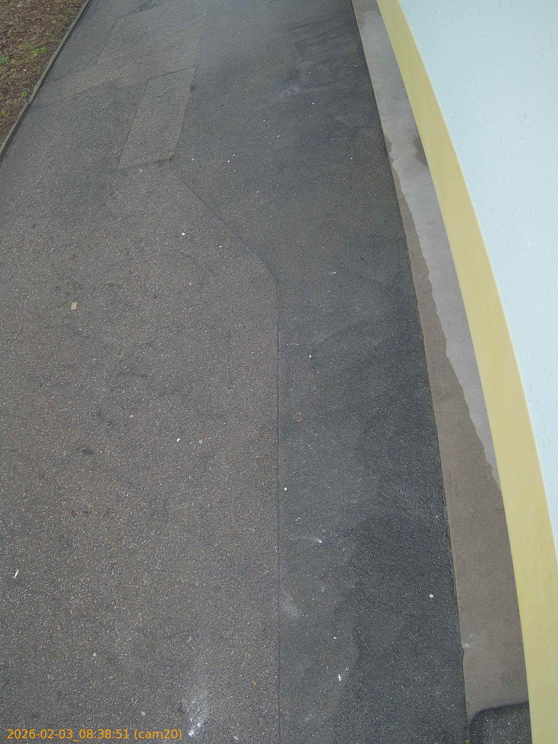 thumbnail_20260203083851