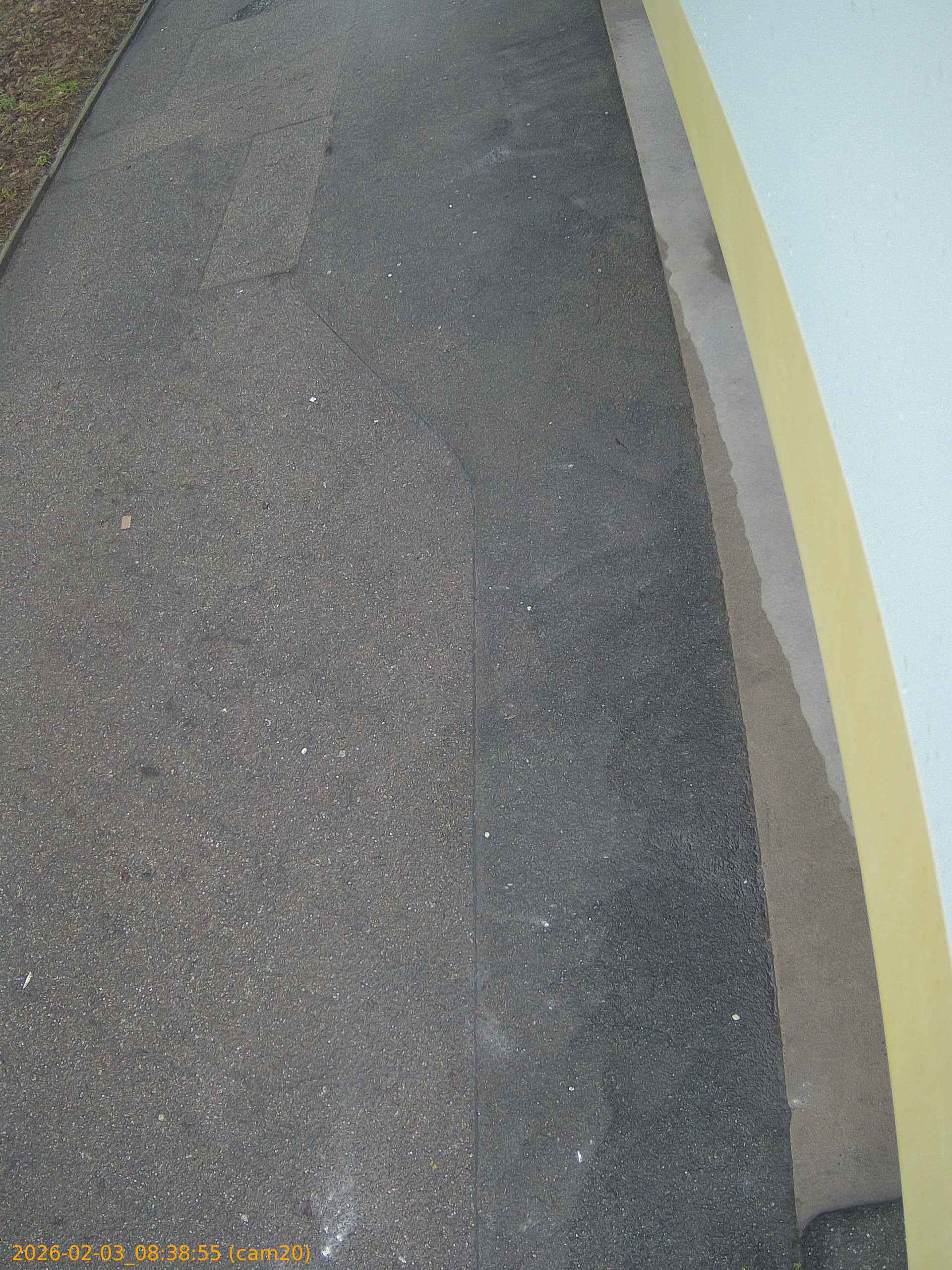 thumbnail_20260203083855