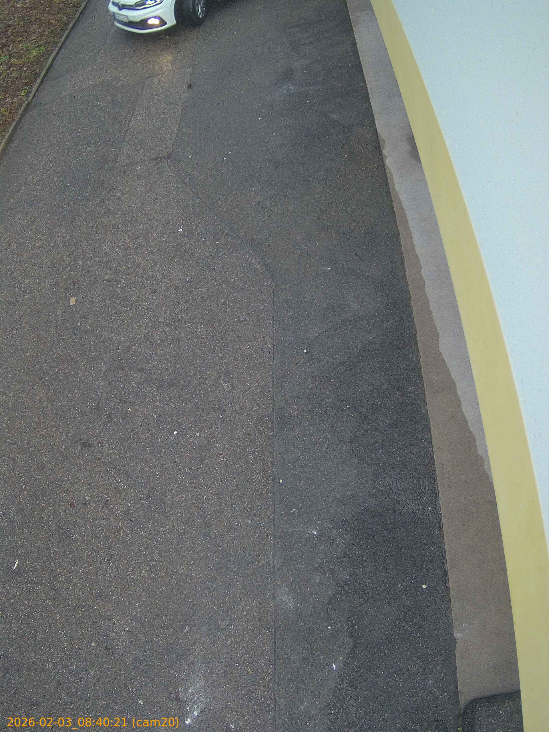 thumbnail_20260203084021