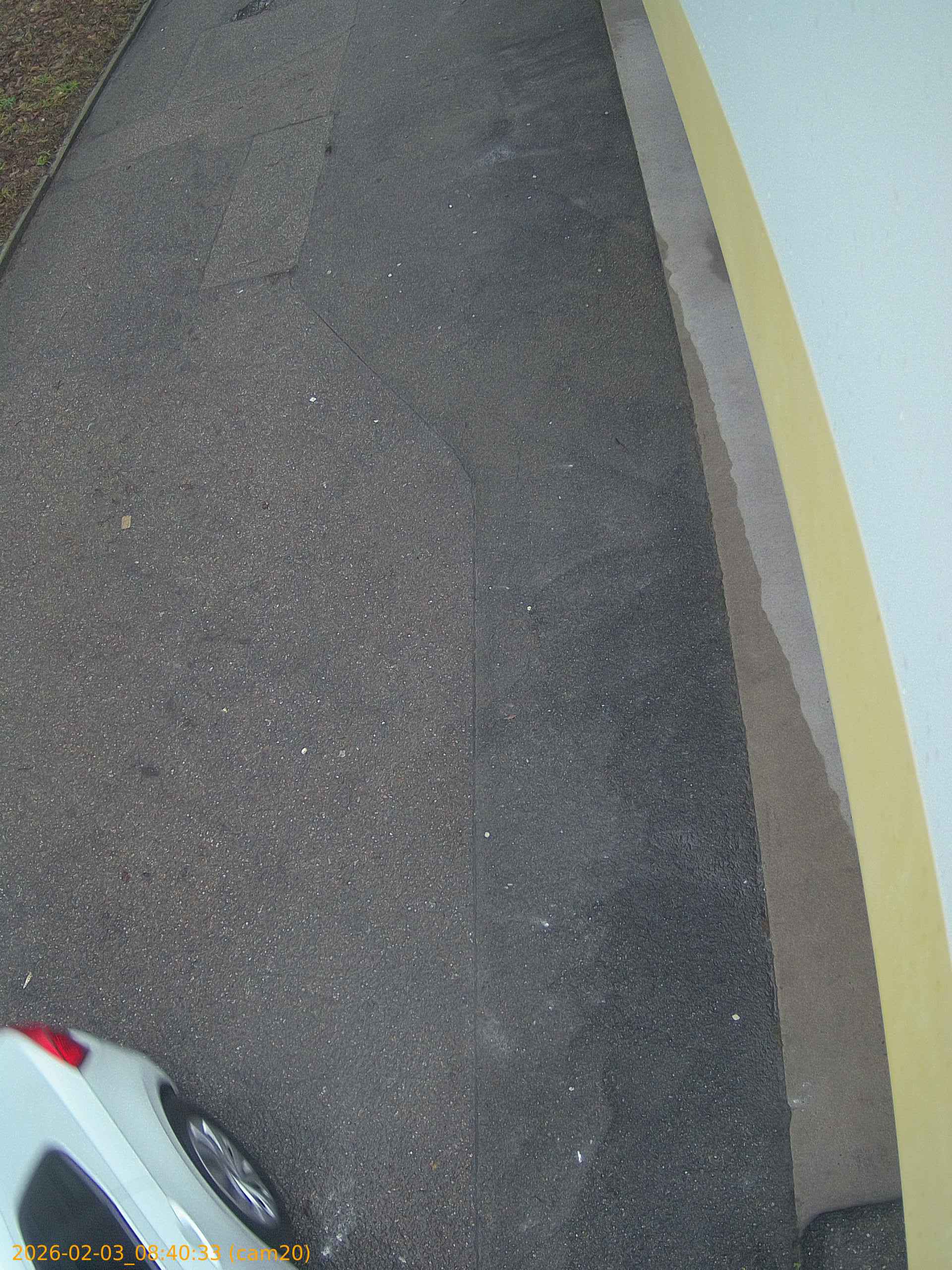 thumbnail_20260203084033