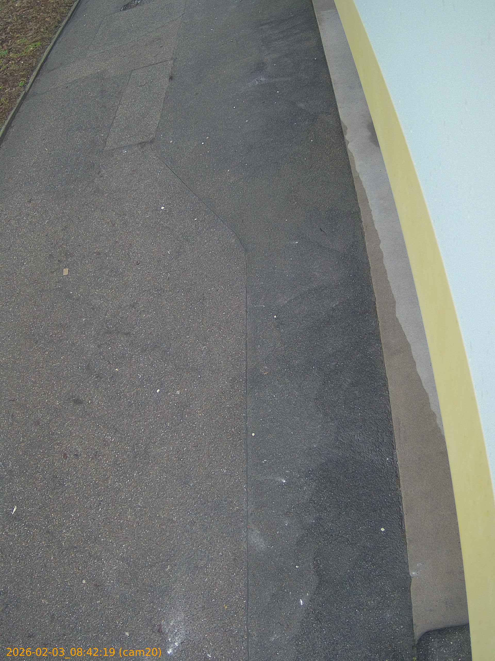 thumbnail_20260203084219