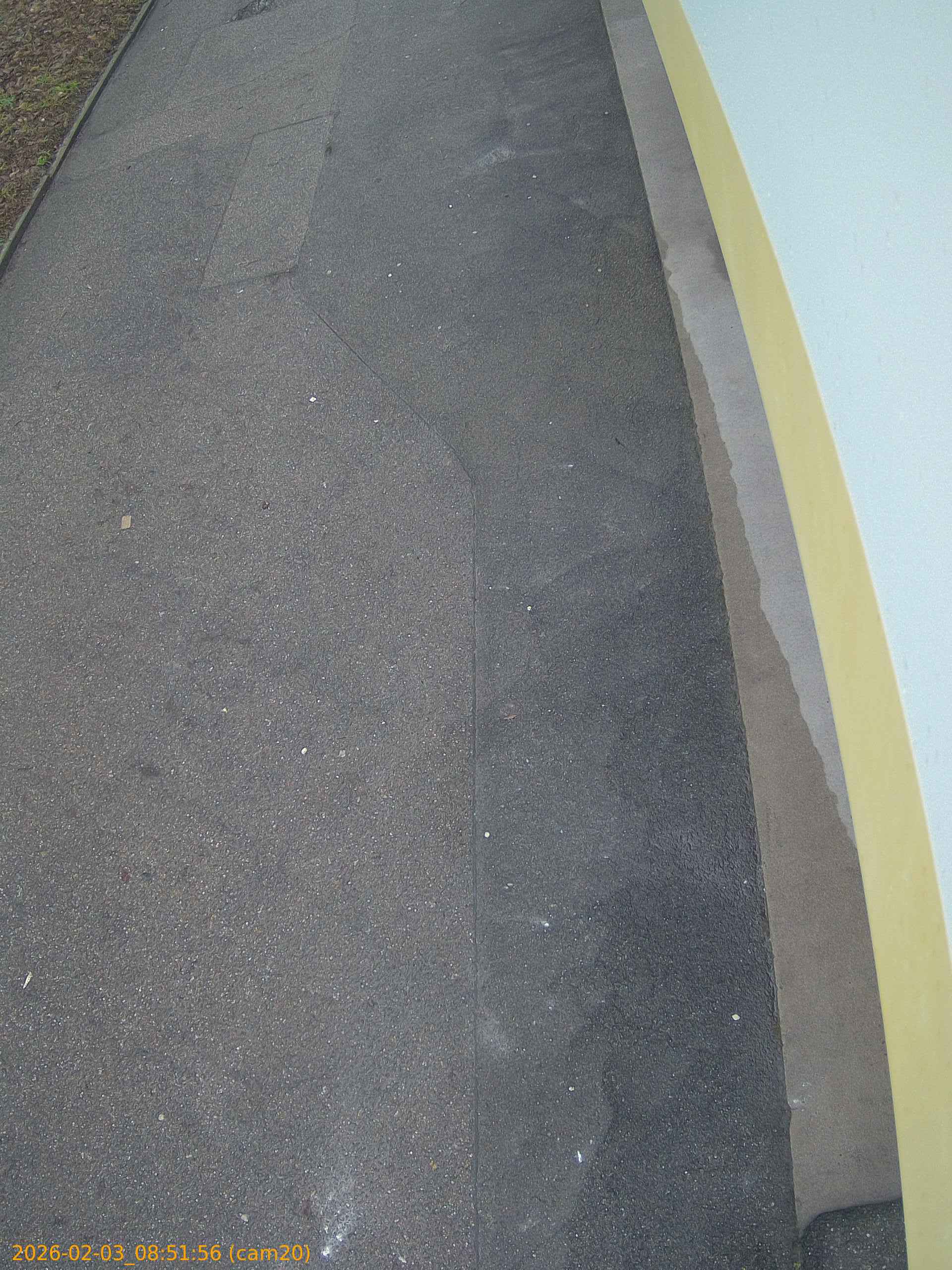 thumbnail_20260203085156