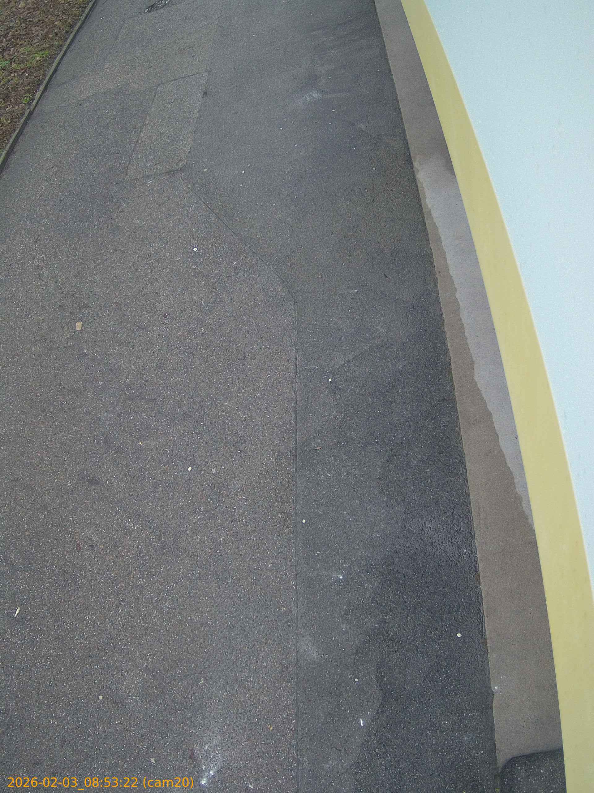 thumbnail_20260203085322