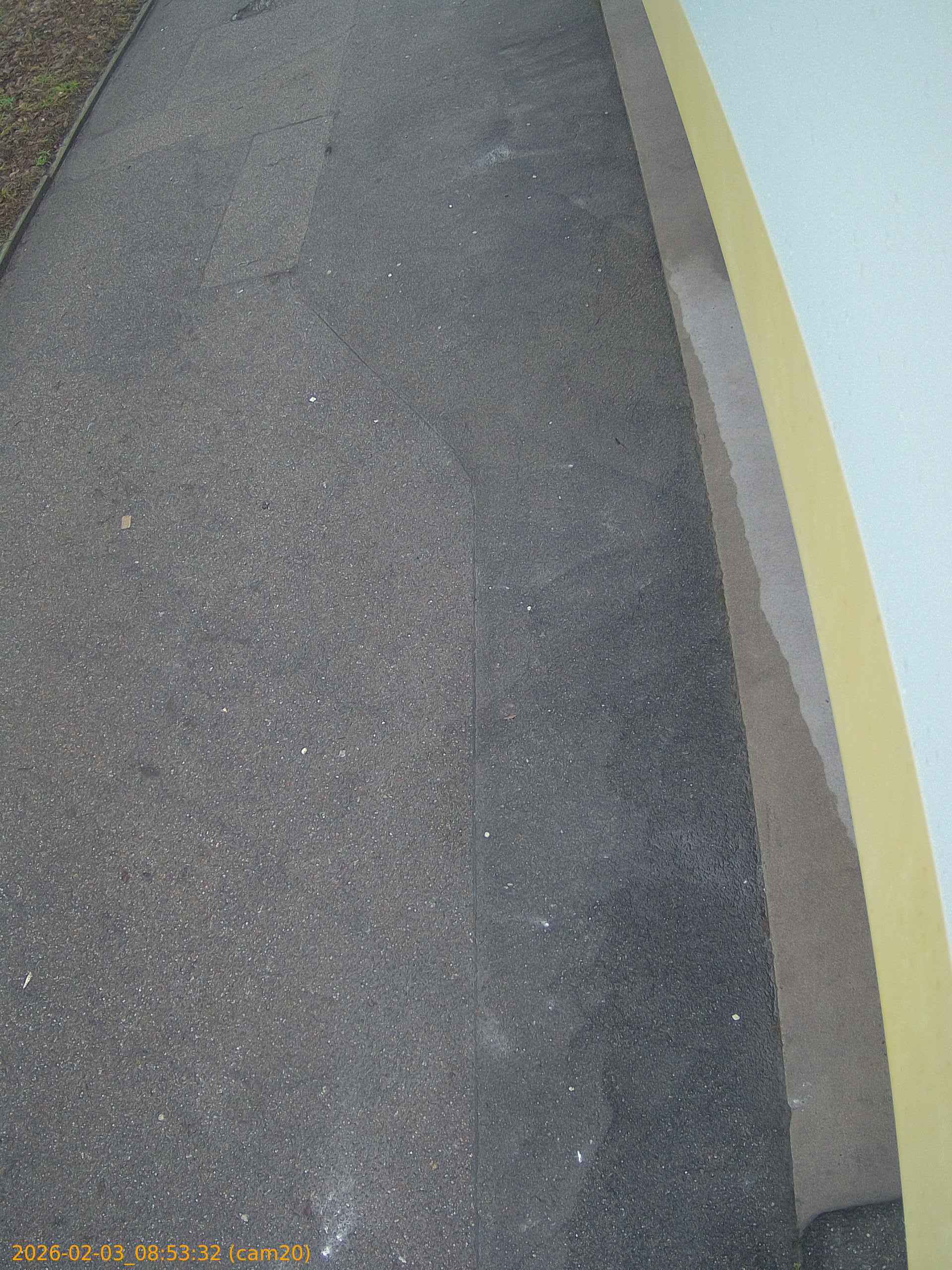 thumbnail_20260203085332