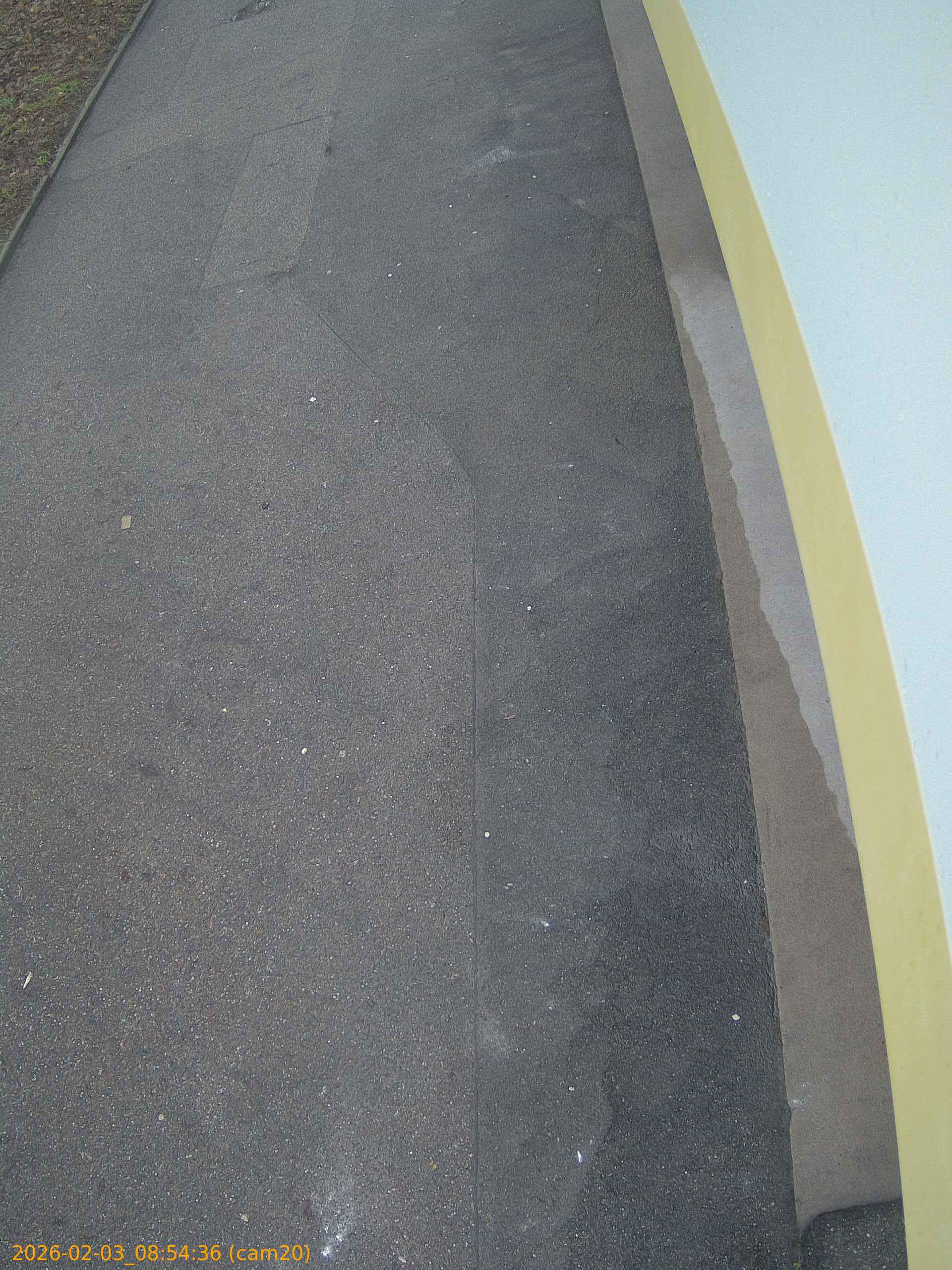 thumbnail_20260203085436