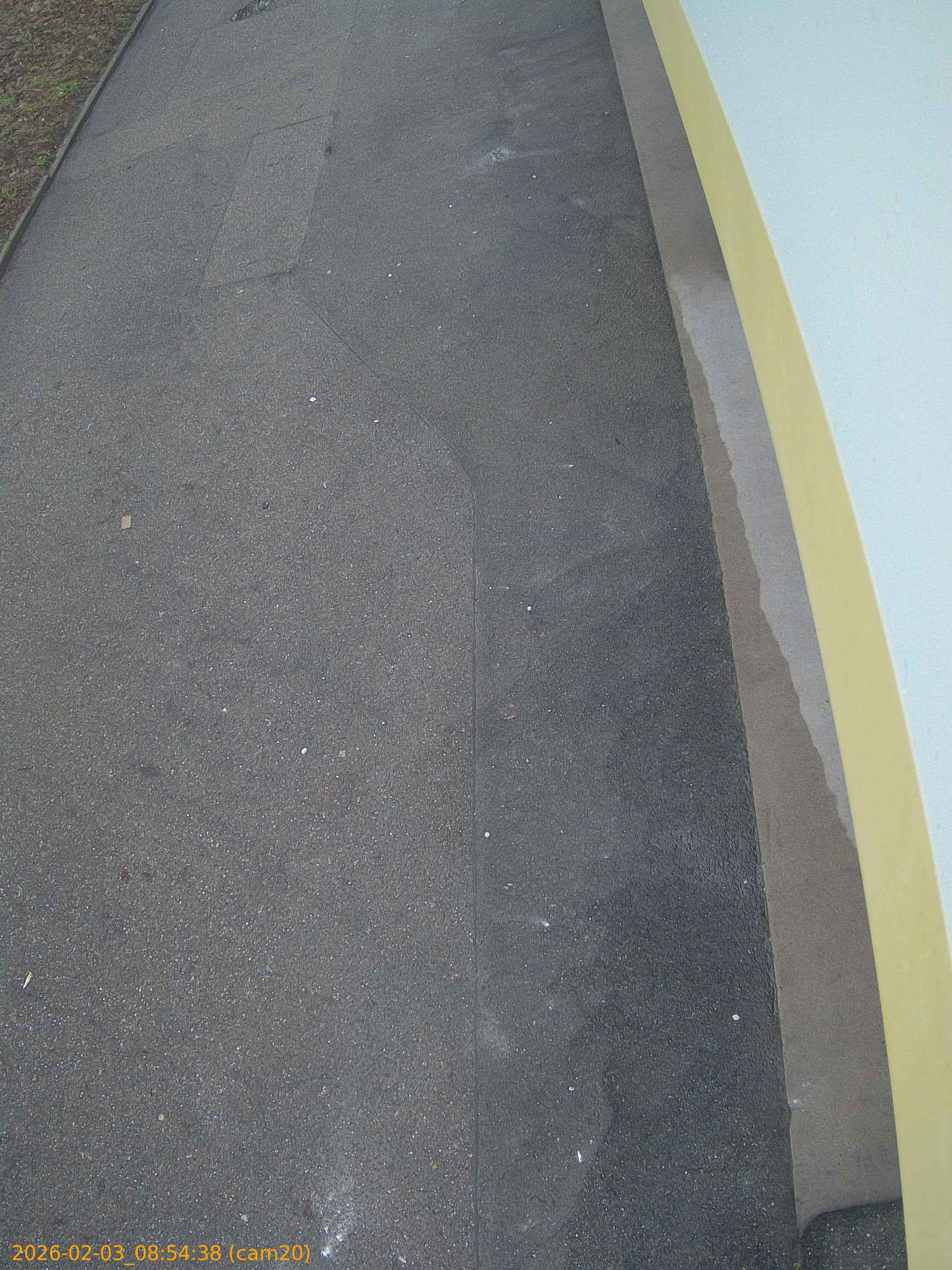 thumbnail_20260203085438