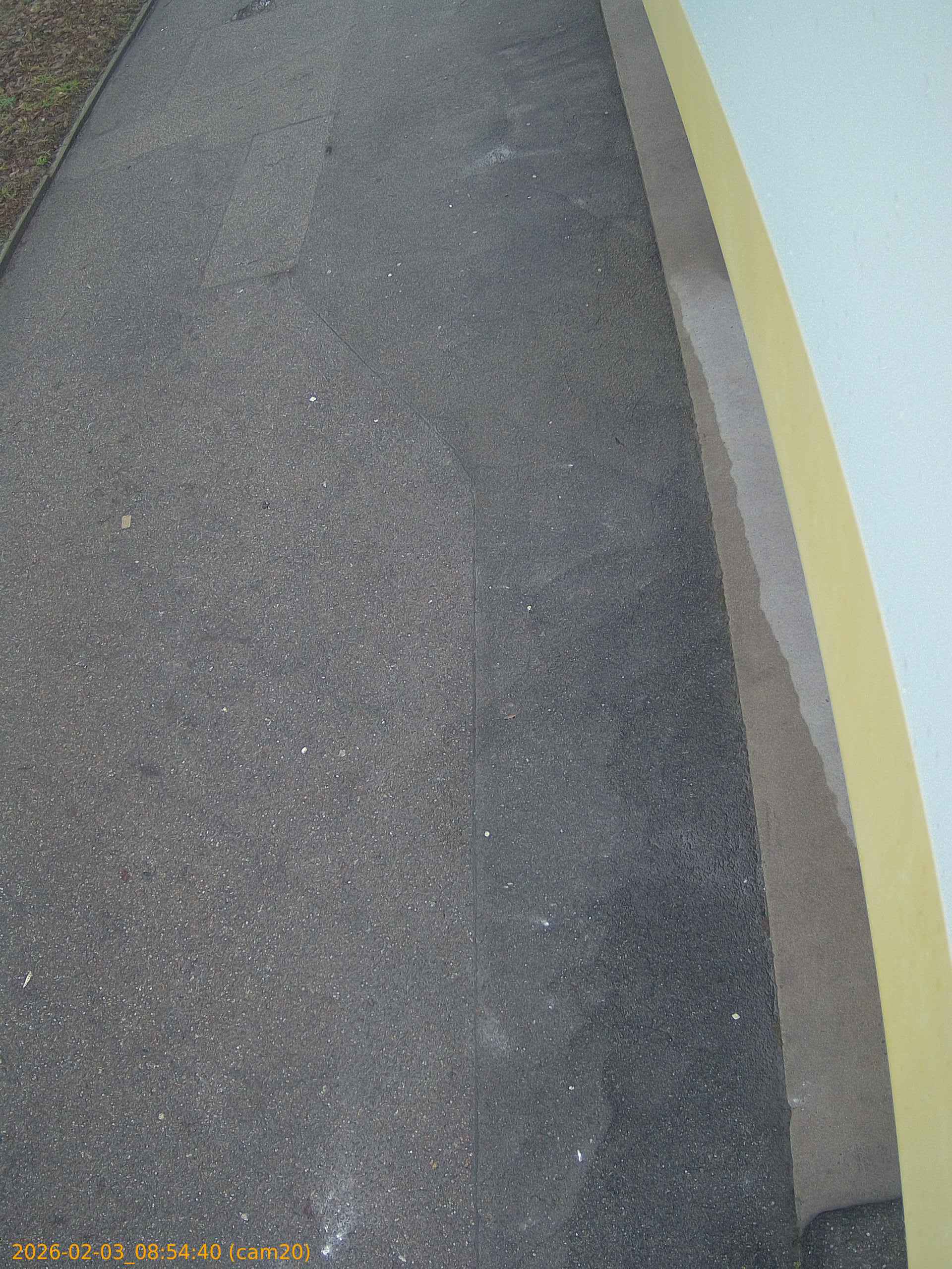 thumbnail_20260203085440