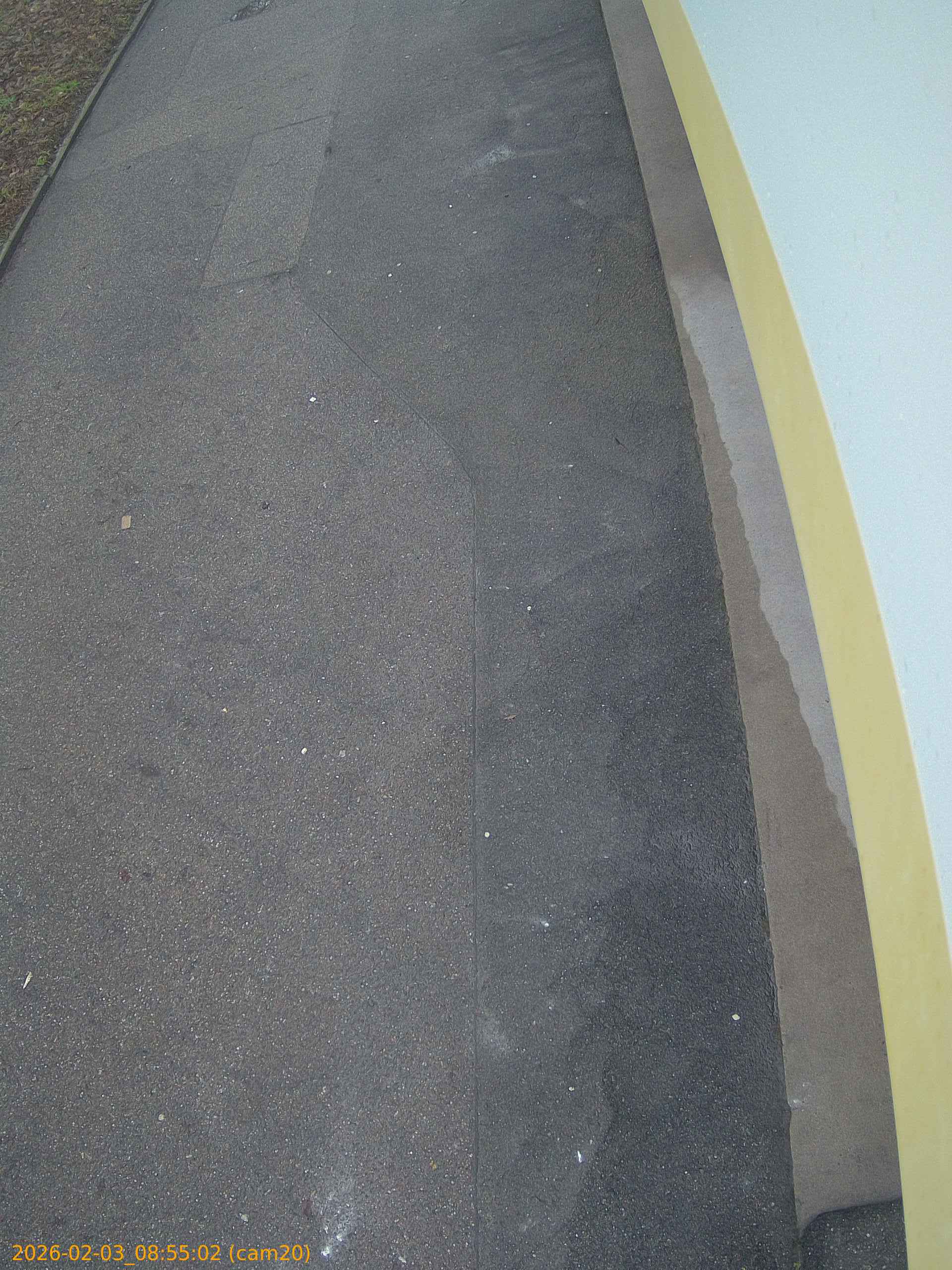 thumbnail_20260203085502