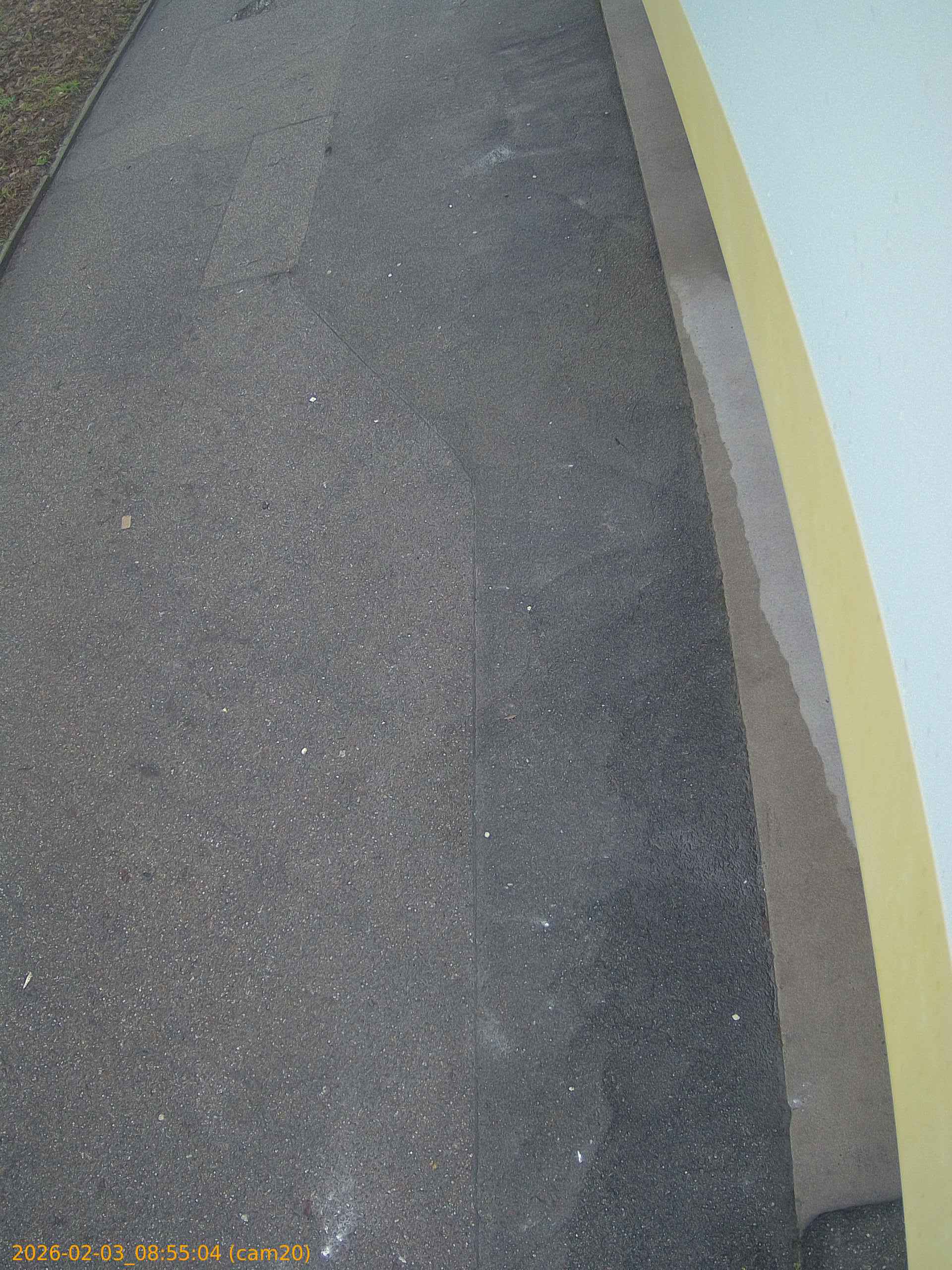 thumbnail_20260203085504