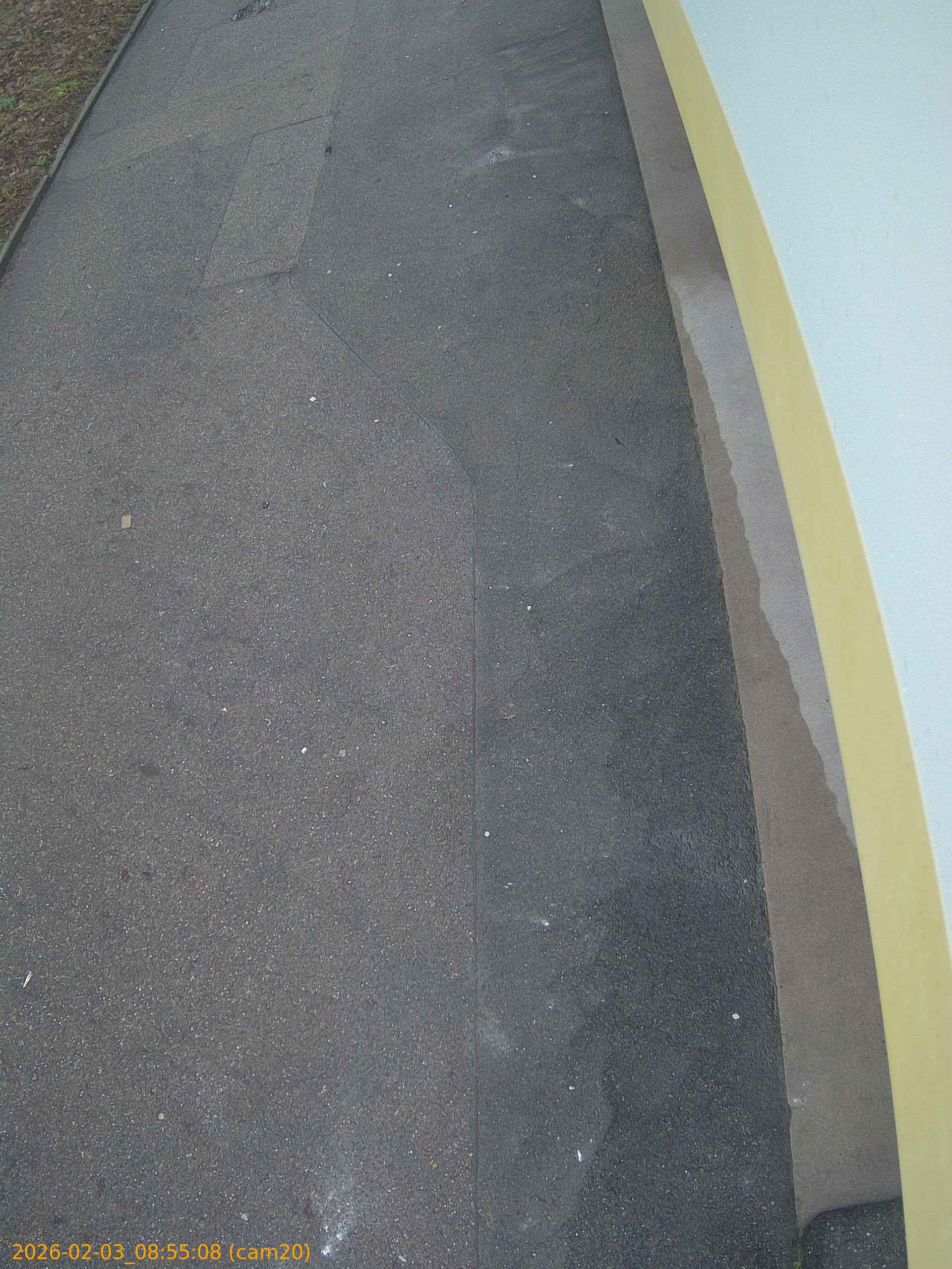 thumbnail_20260203085508