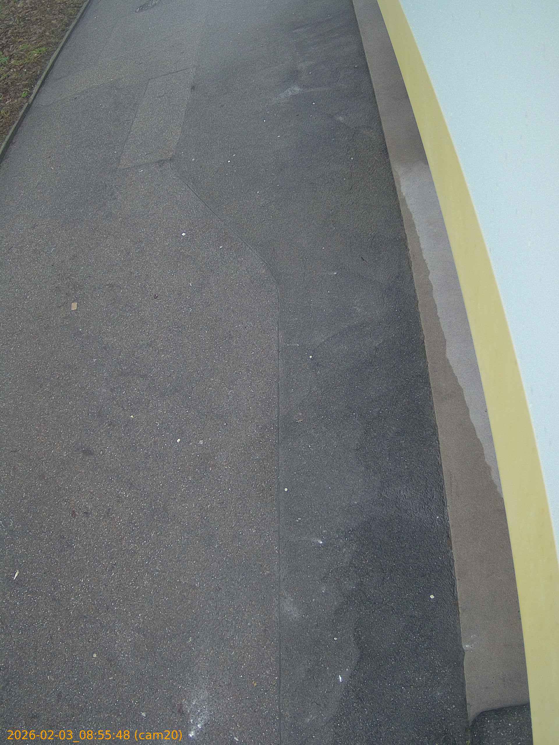 thumbnail_20260203085548