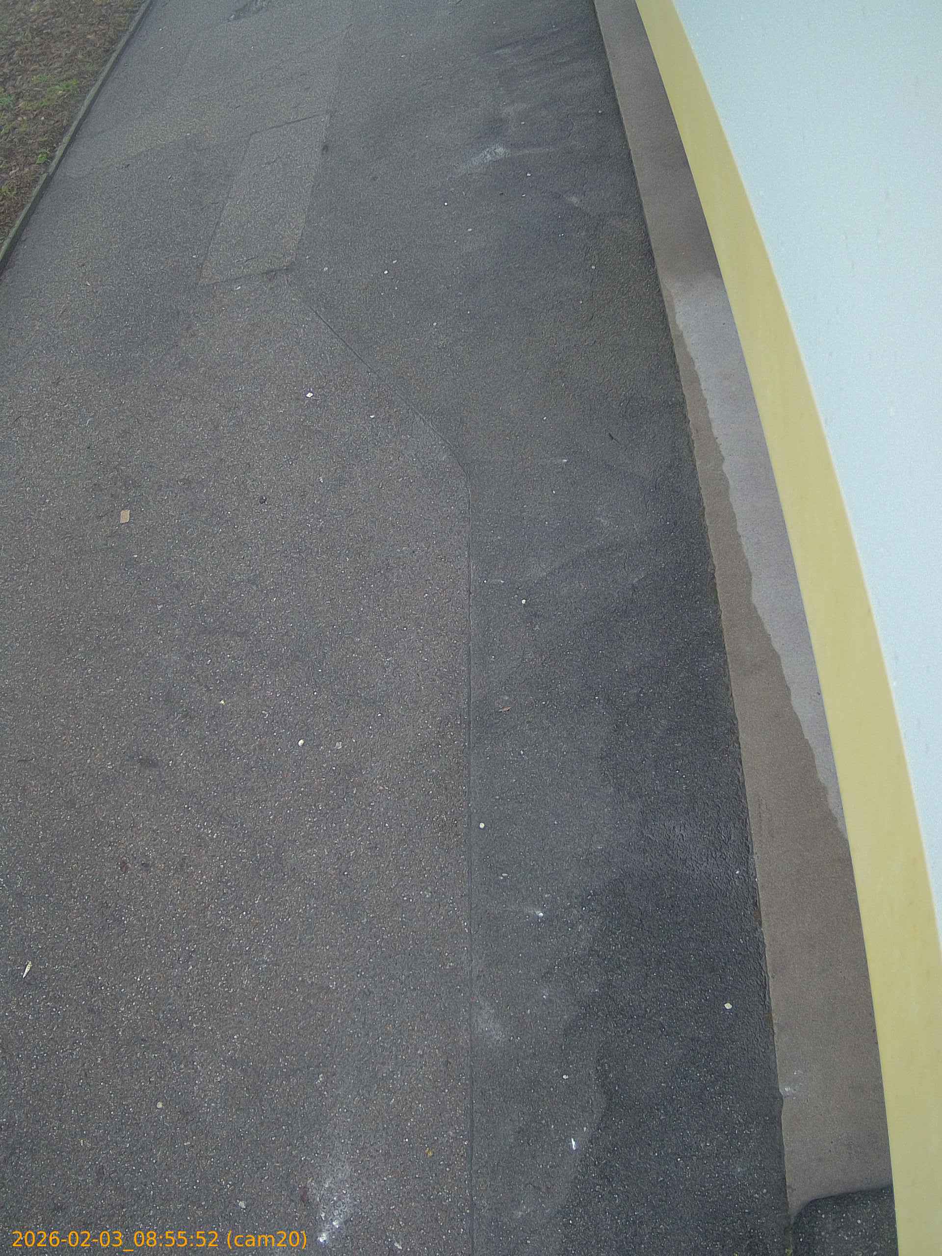 thumbnail_20260203085552