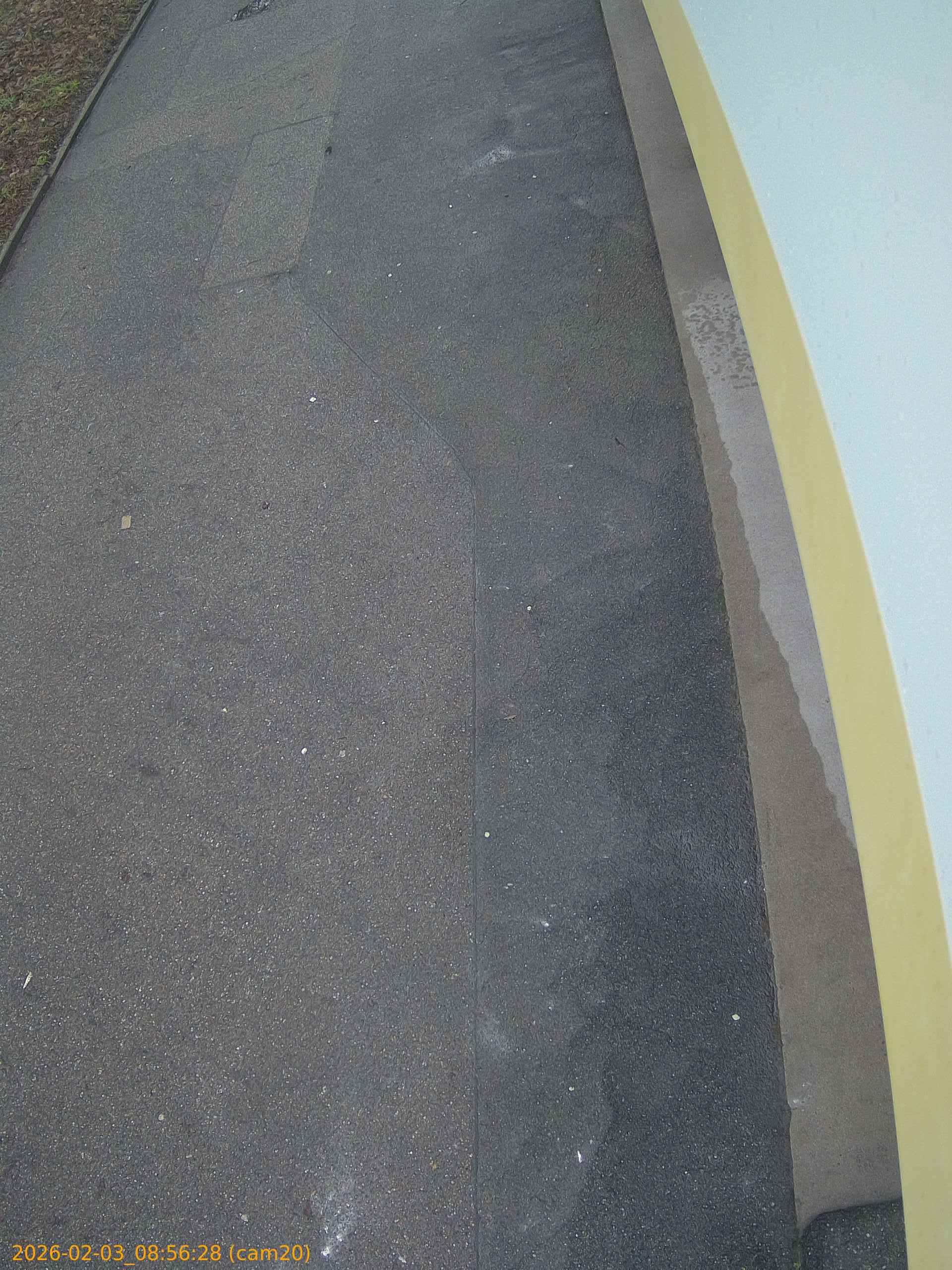 thumbnail_20260203085628