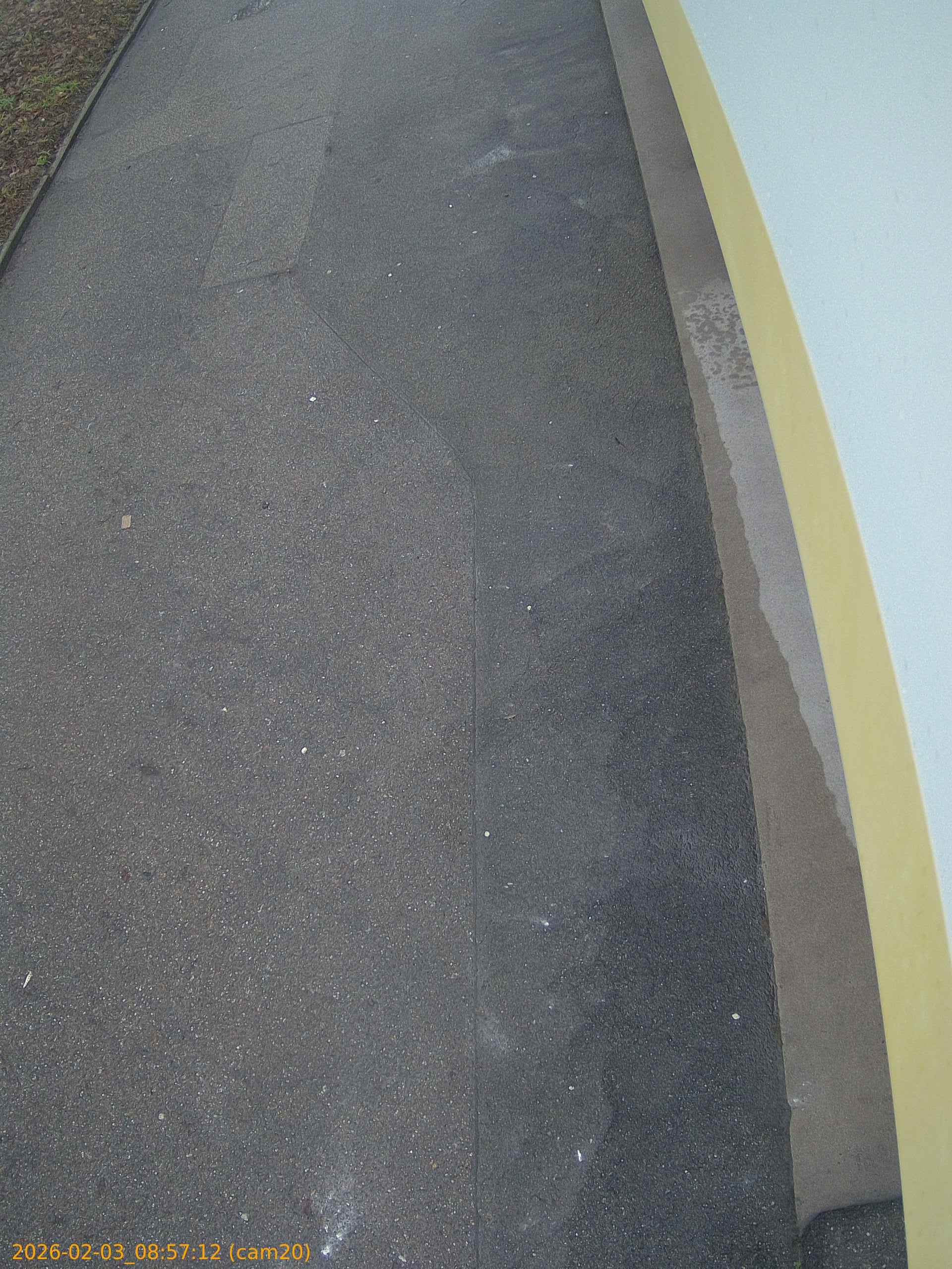 thumbnail_20260203085712