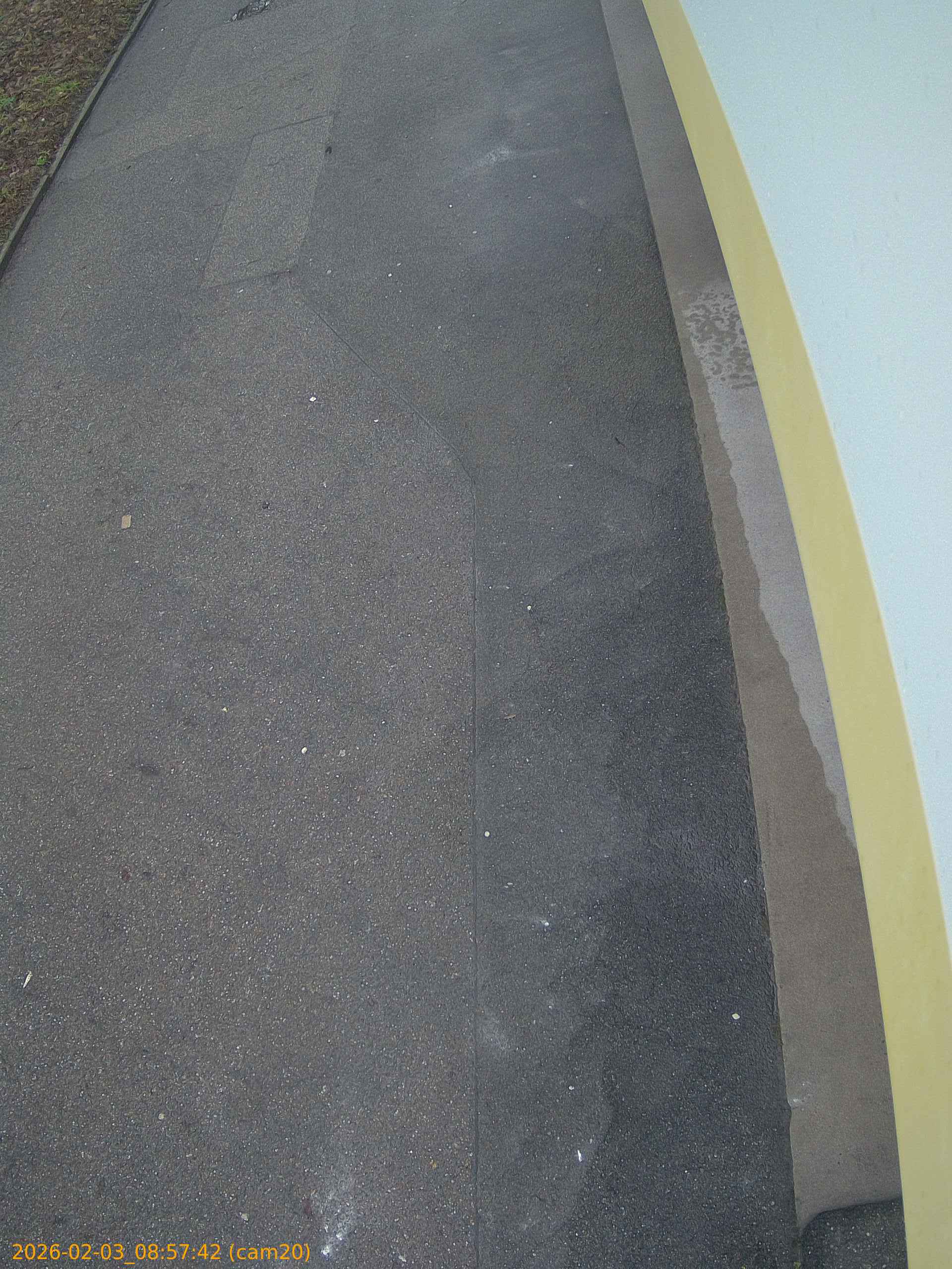 thumbnail_20260203085742