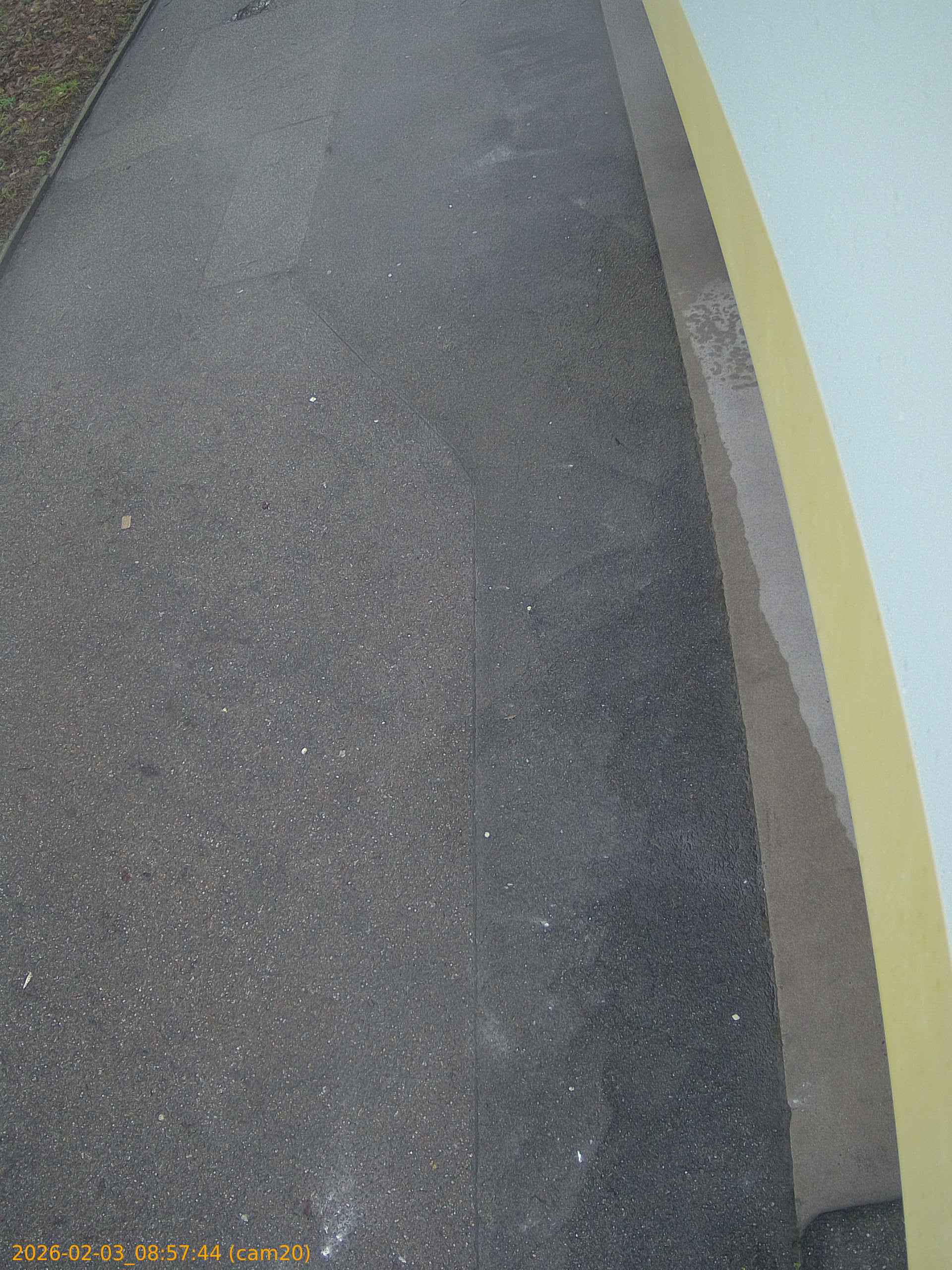 thumbnail_20260203085744