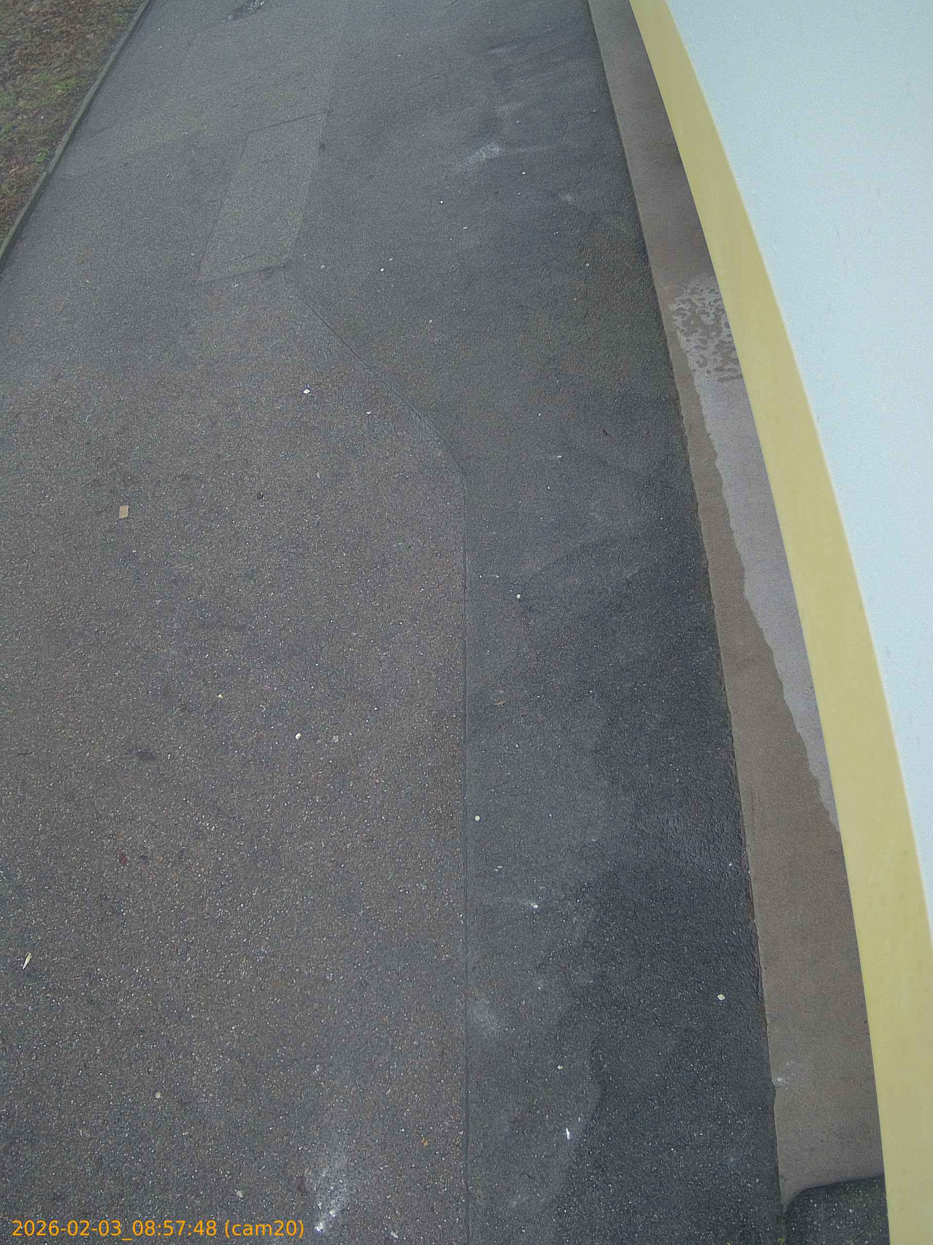 thumbnail_20260203085748