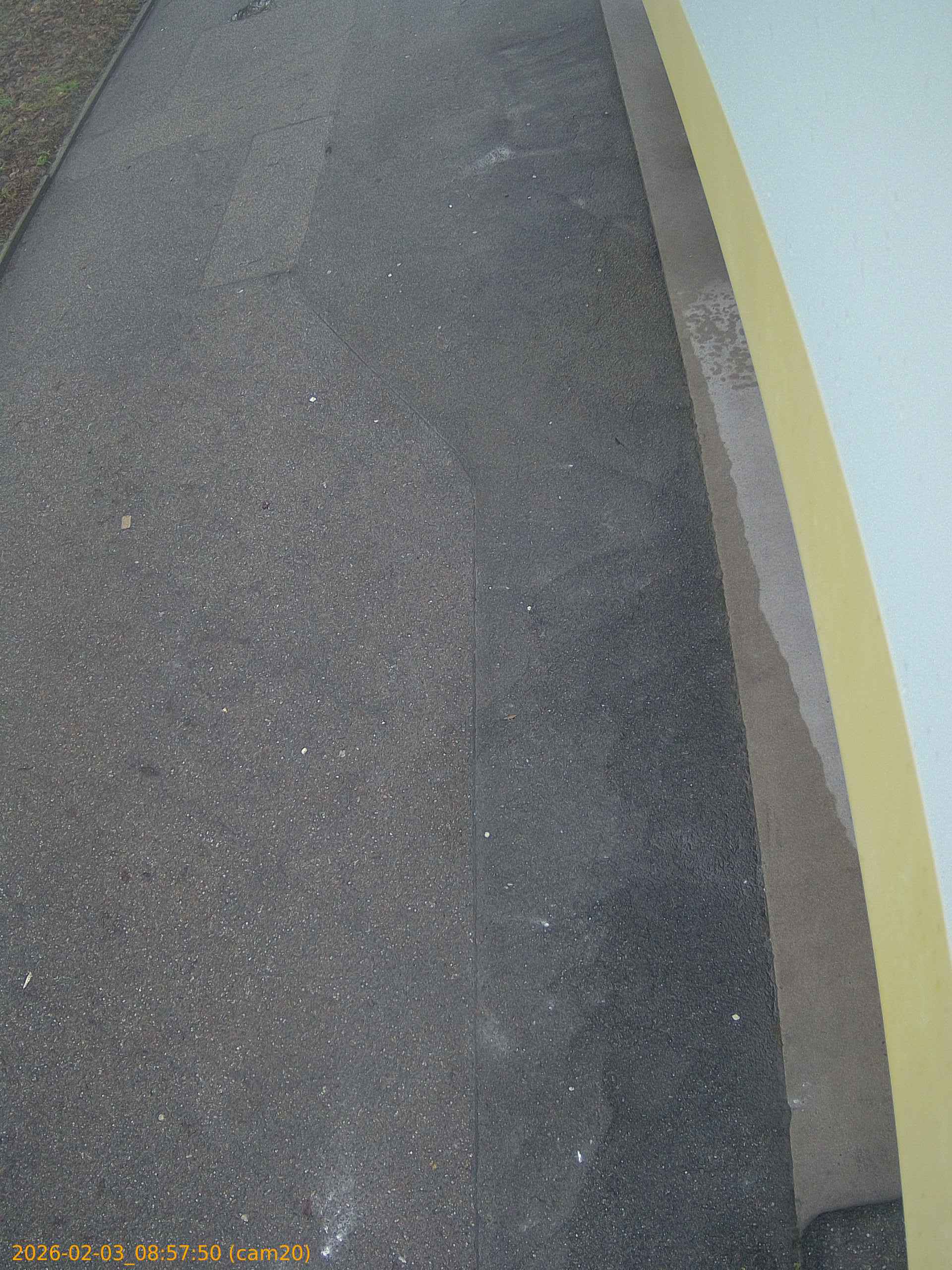 thumbnail_20260203085750