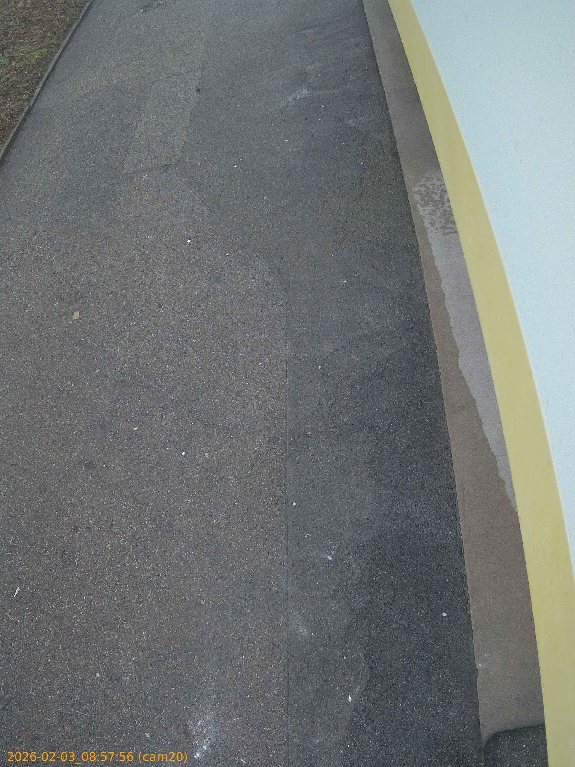 thumbnail_20260203085756