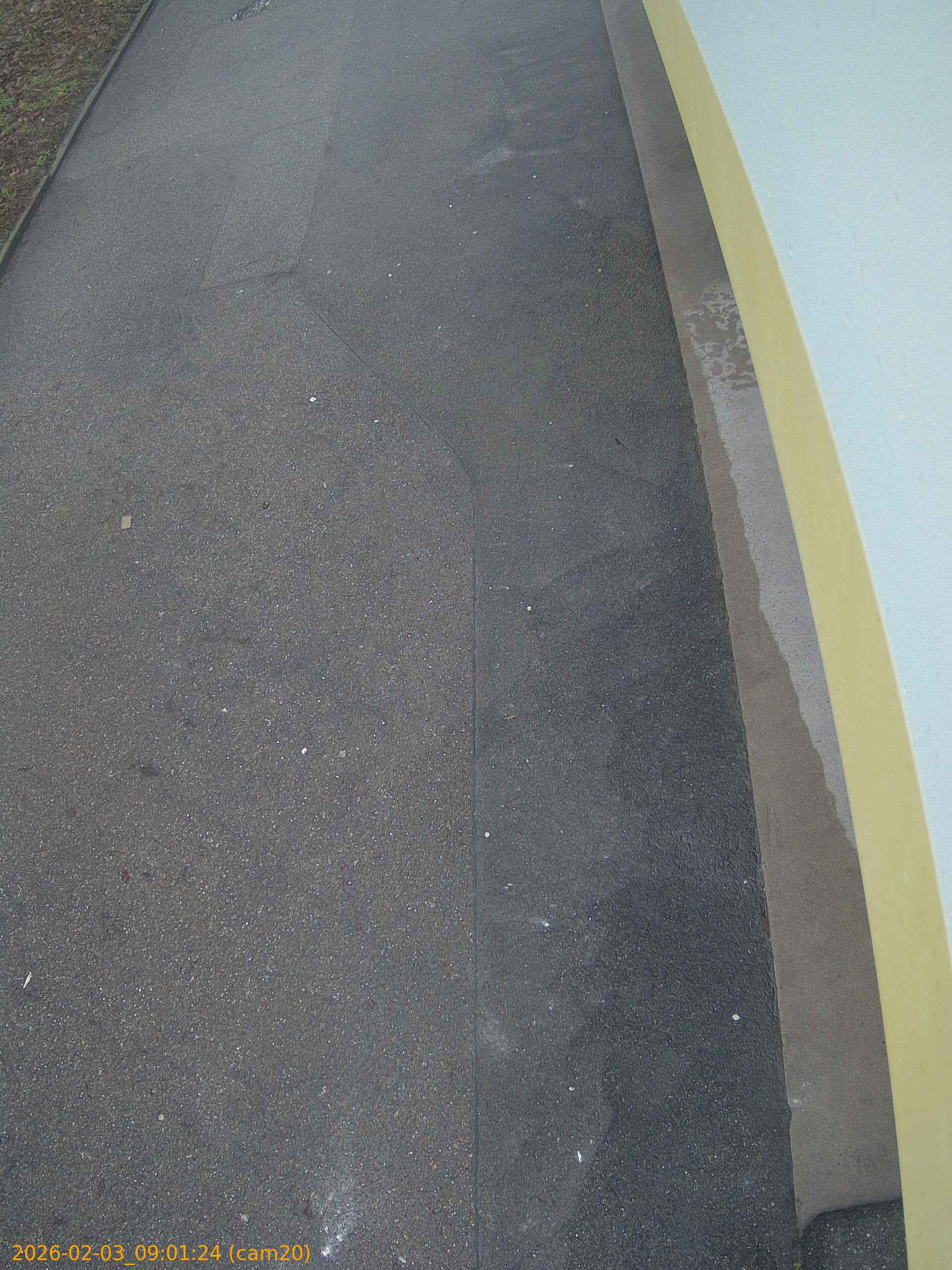 thumbnail_20260203090124