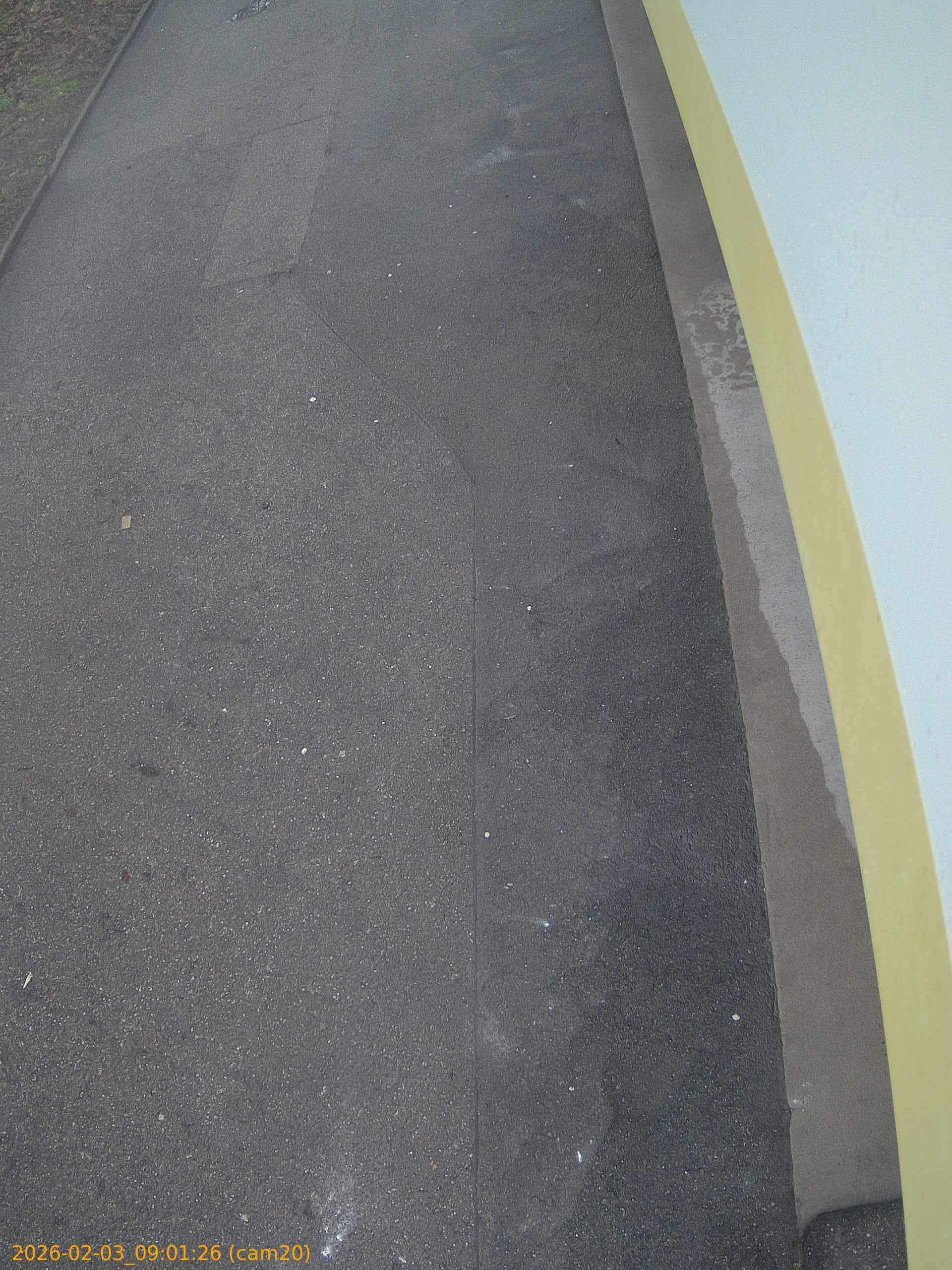 thumbnail_20260203090126