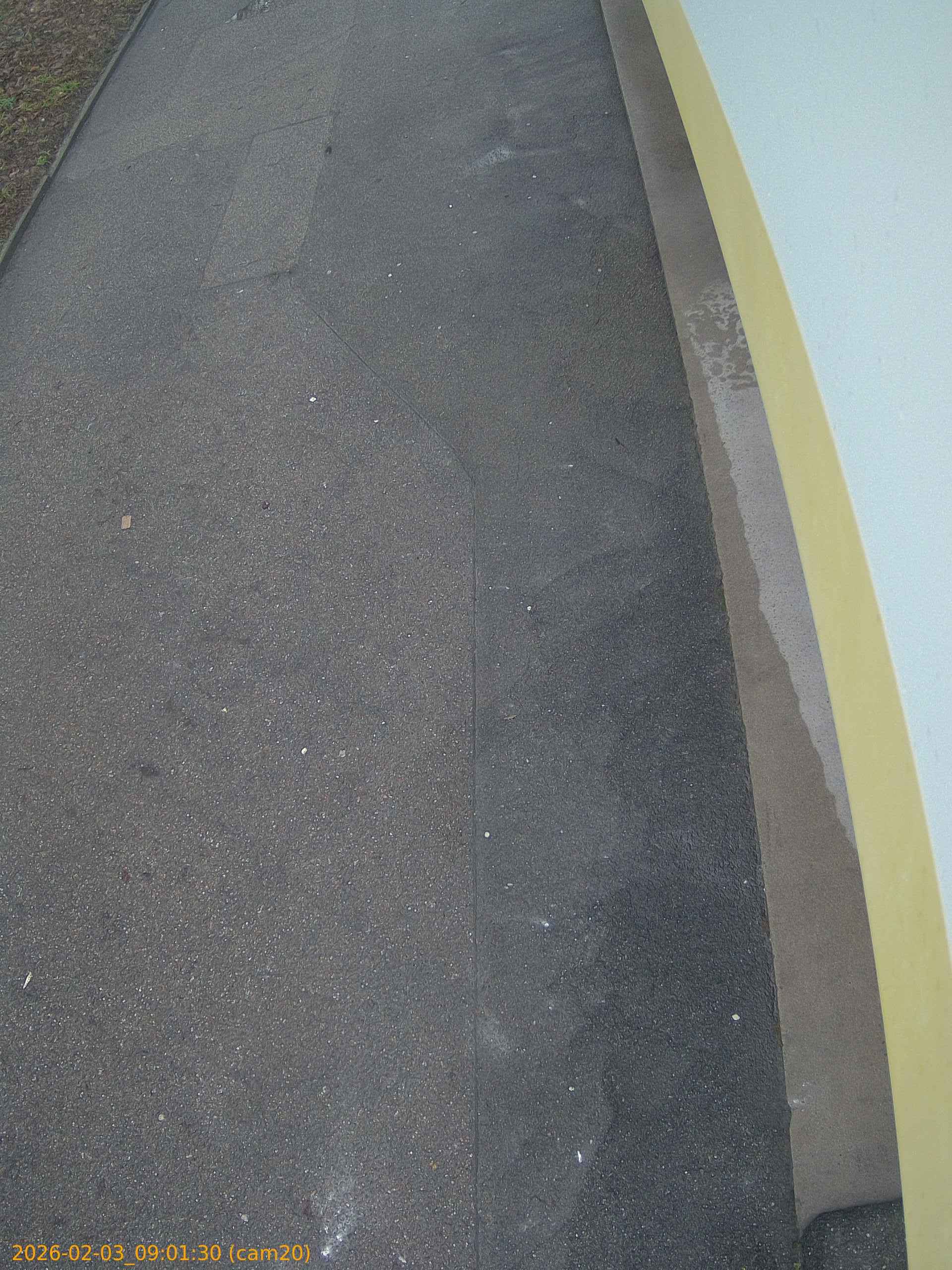 thumbnail_20260203090130