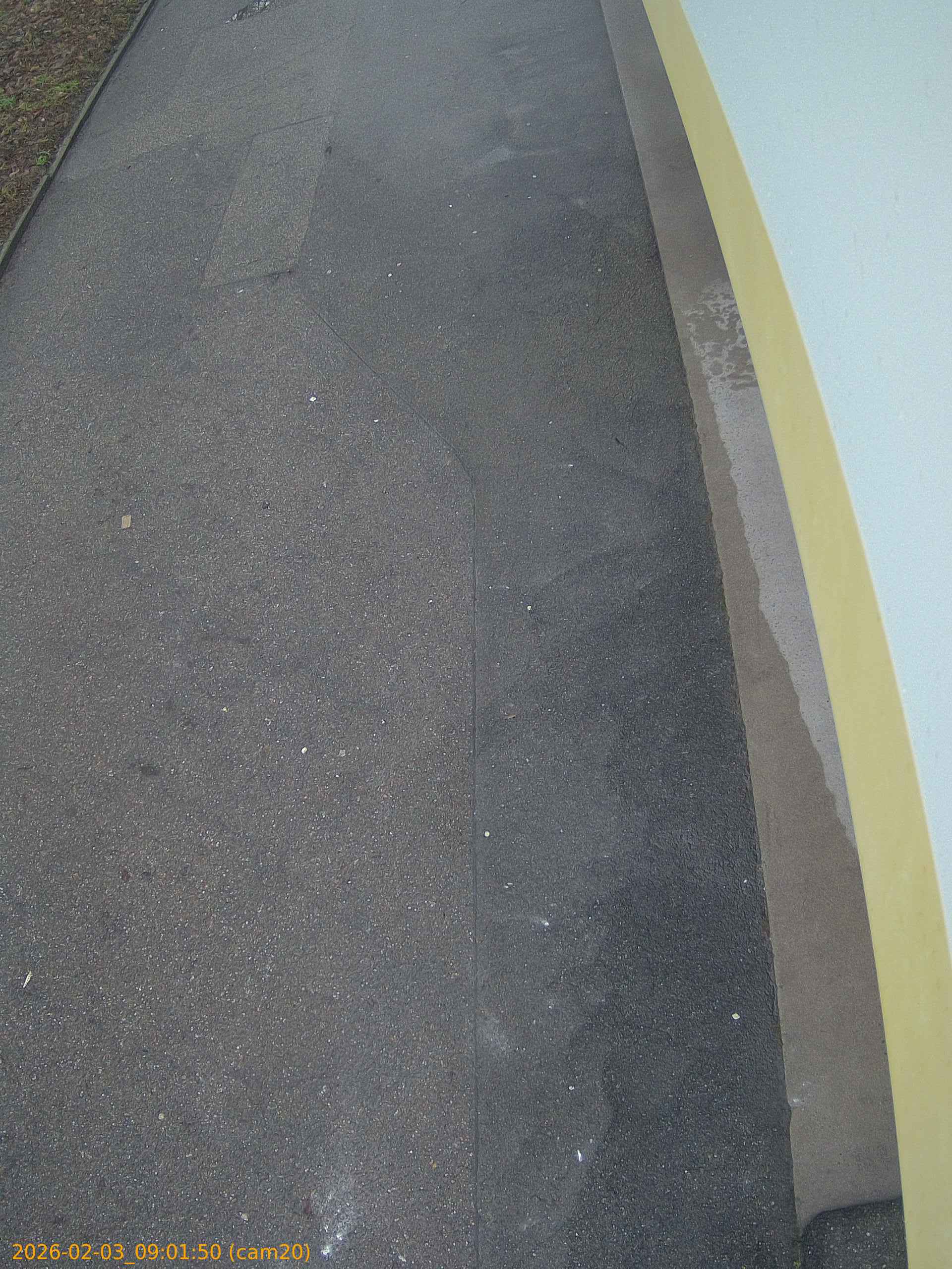 thumbnail_20260203090150