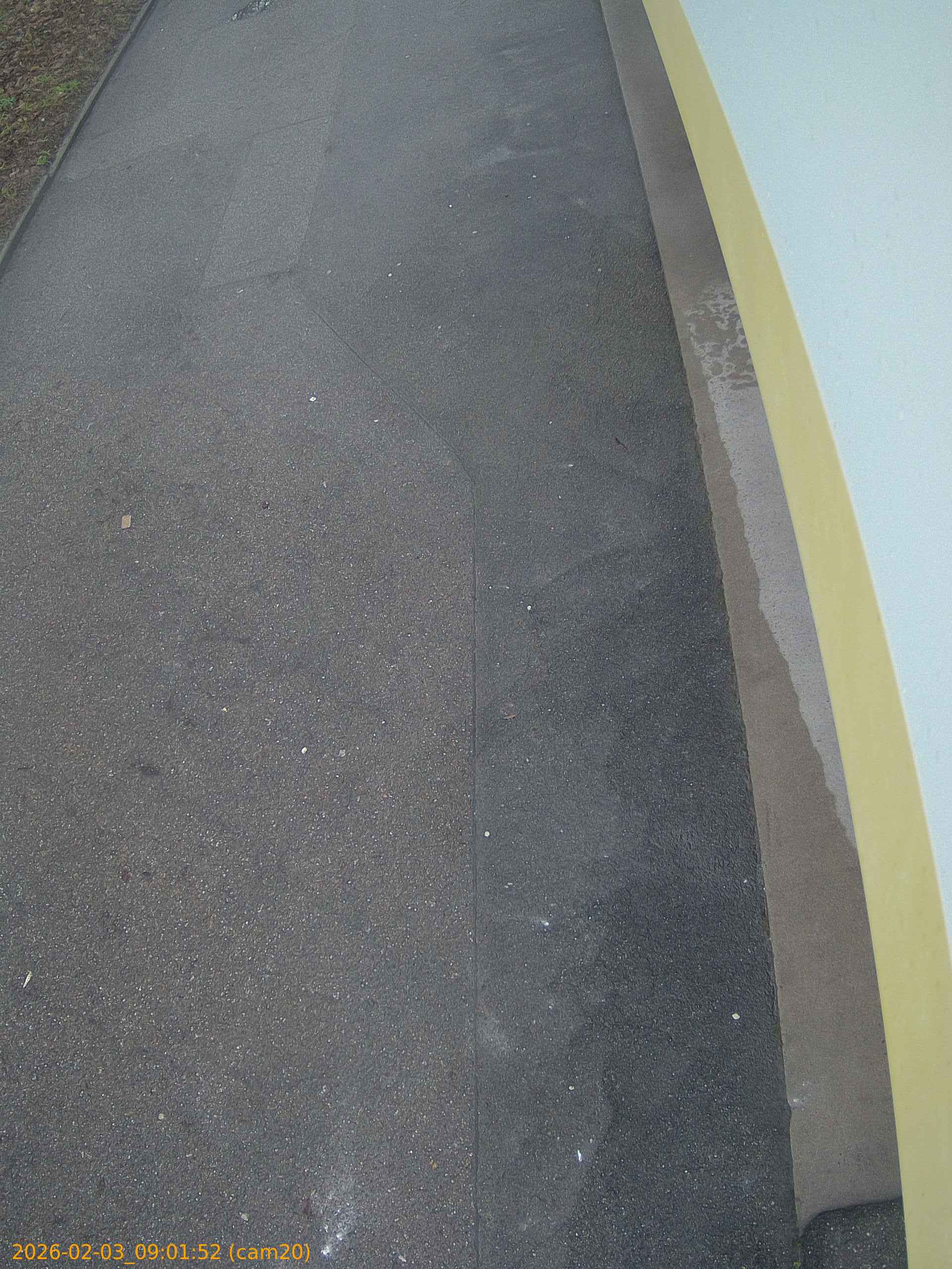 thumbnail_20260203090152