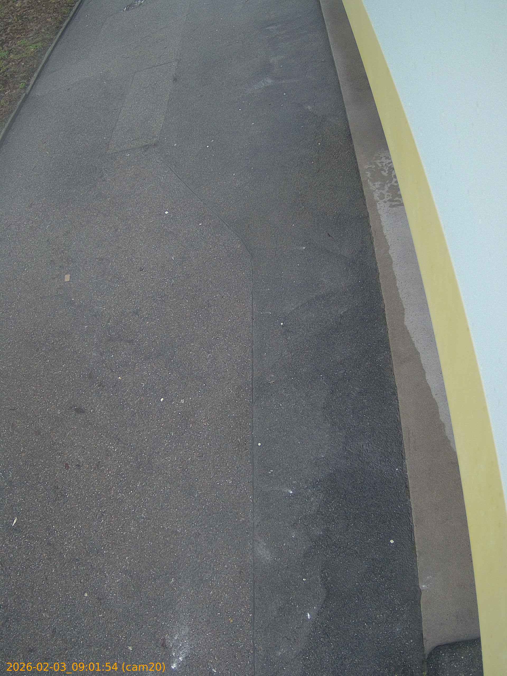 thumbnail_20260203090154