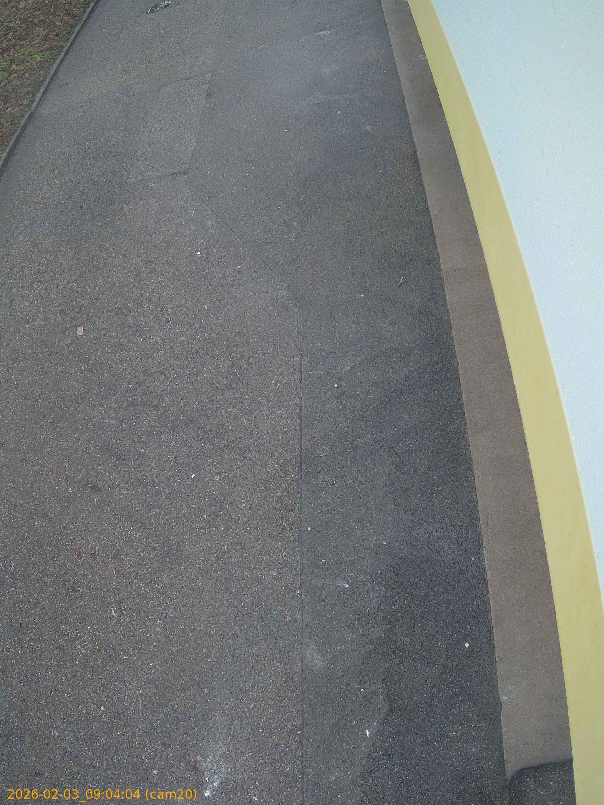 thumbnail_20260203090404