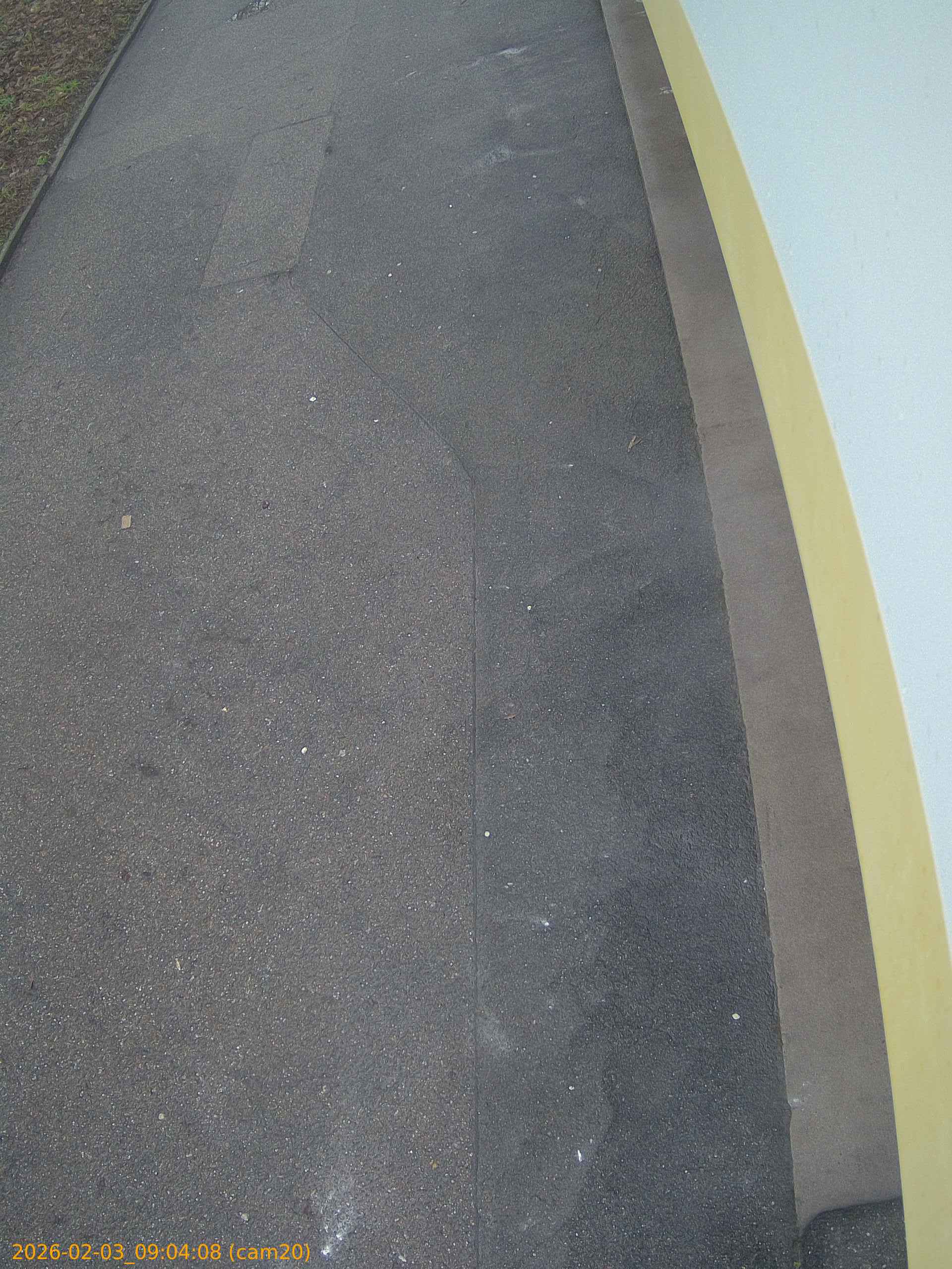 thumbnail_20260203090408