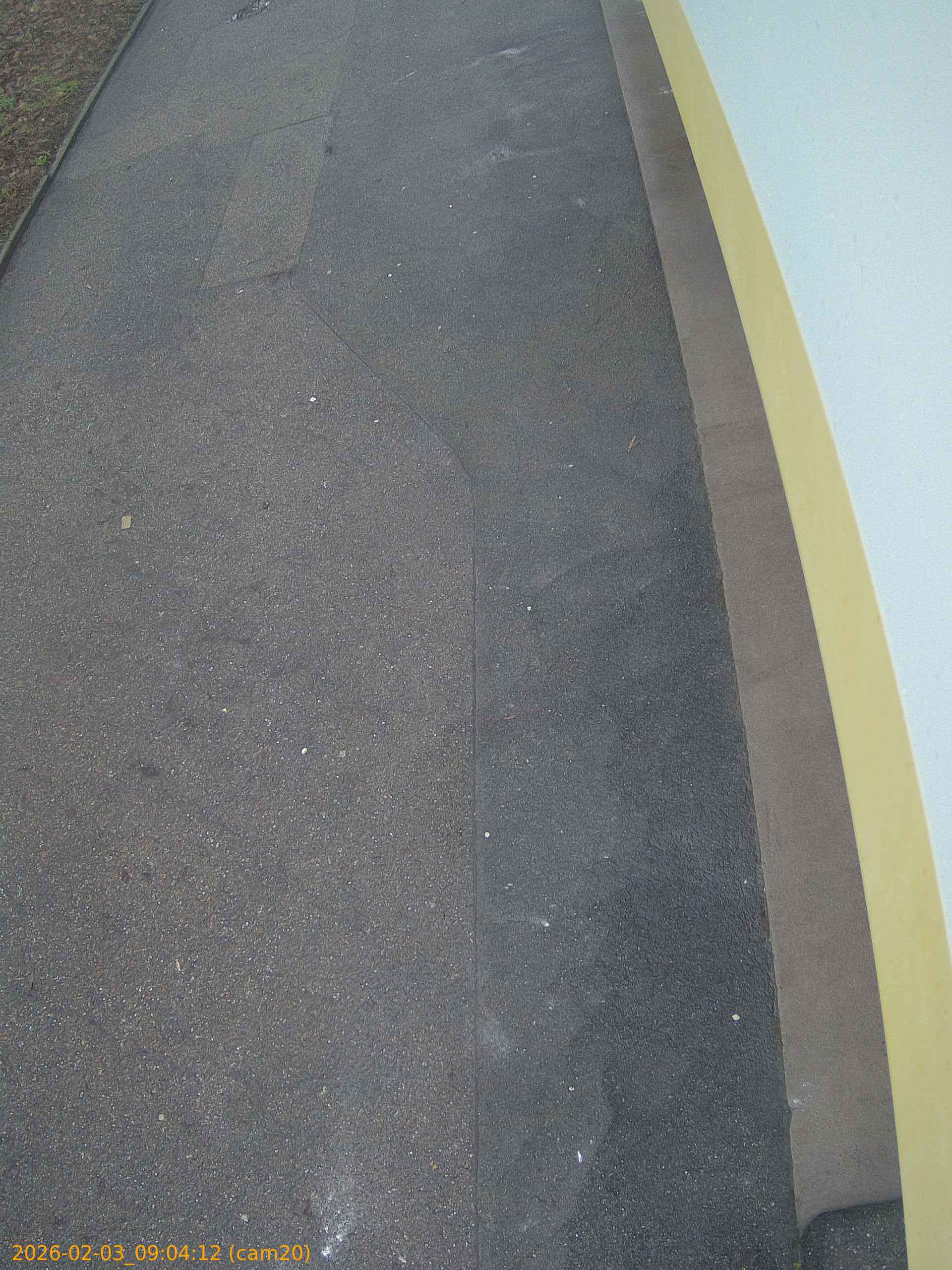 thumbnail_20260203090412