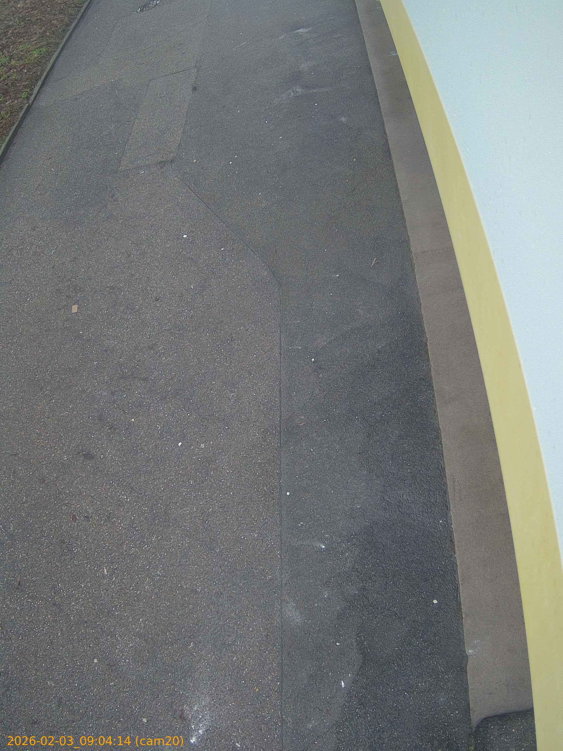 thumbnail_20260203090414