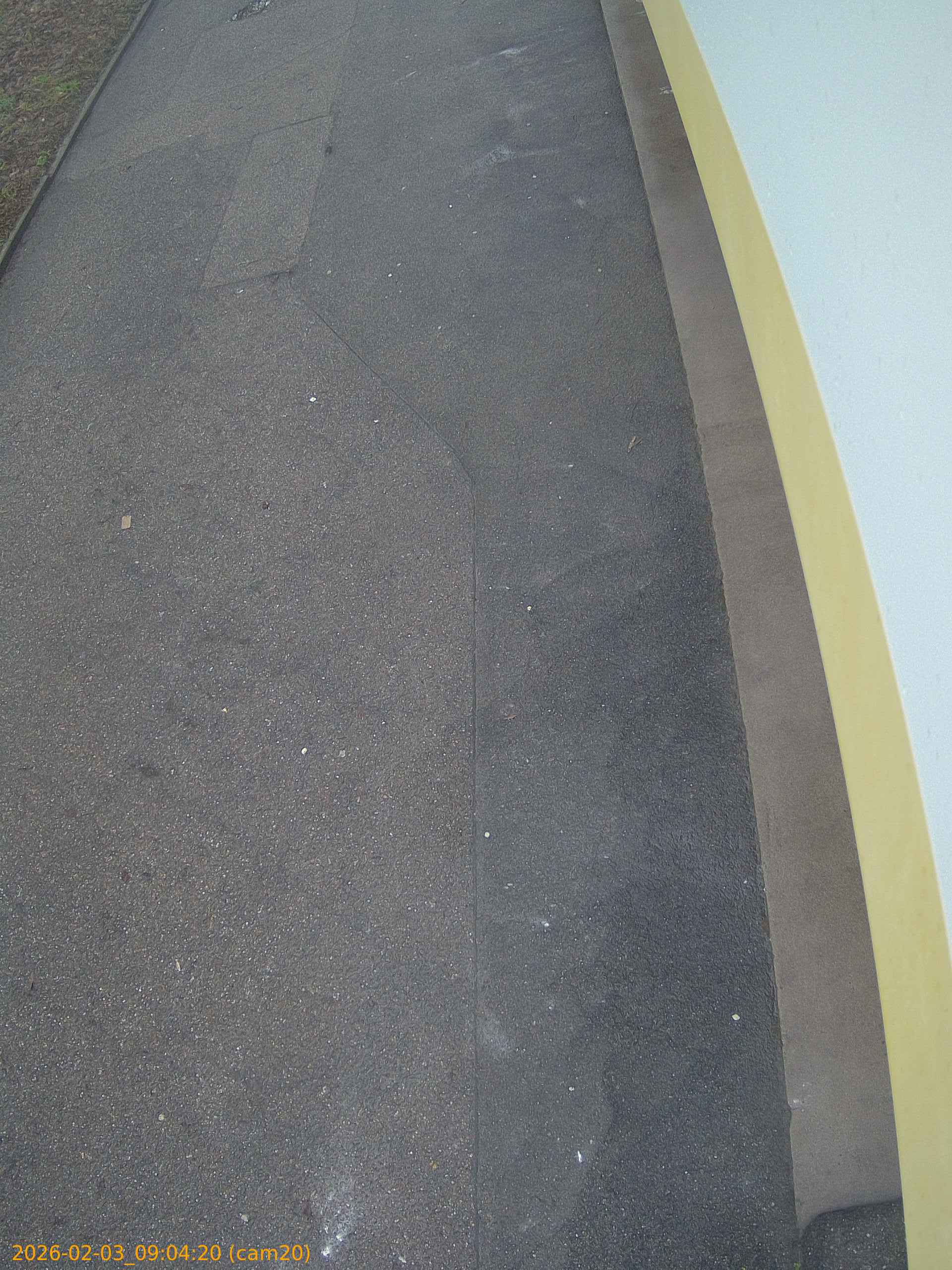 thumbnail_20260203090420