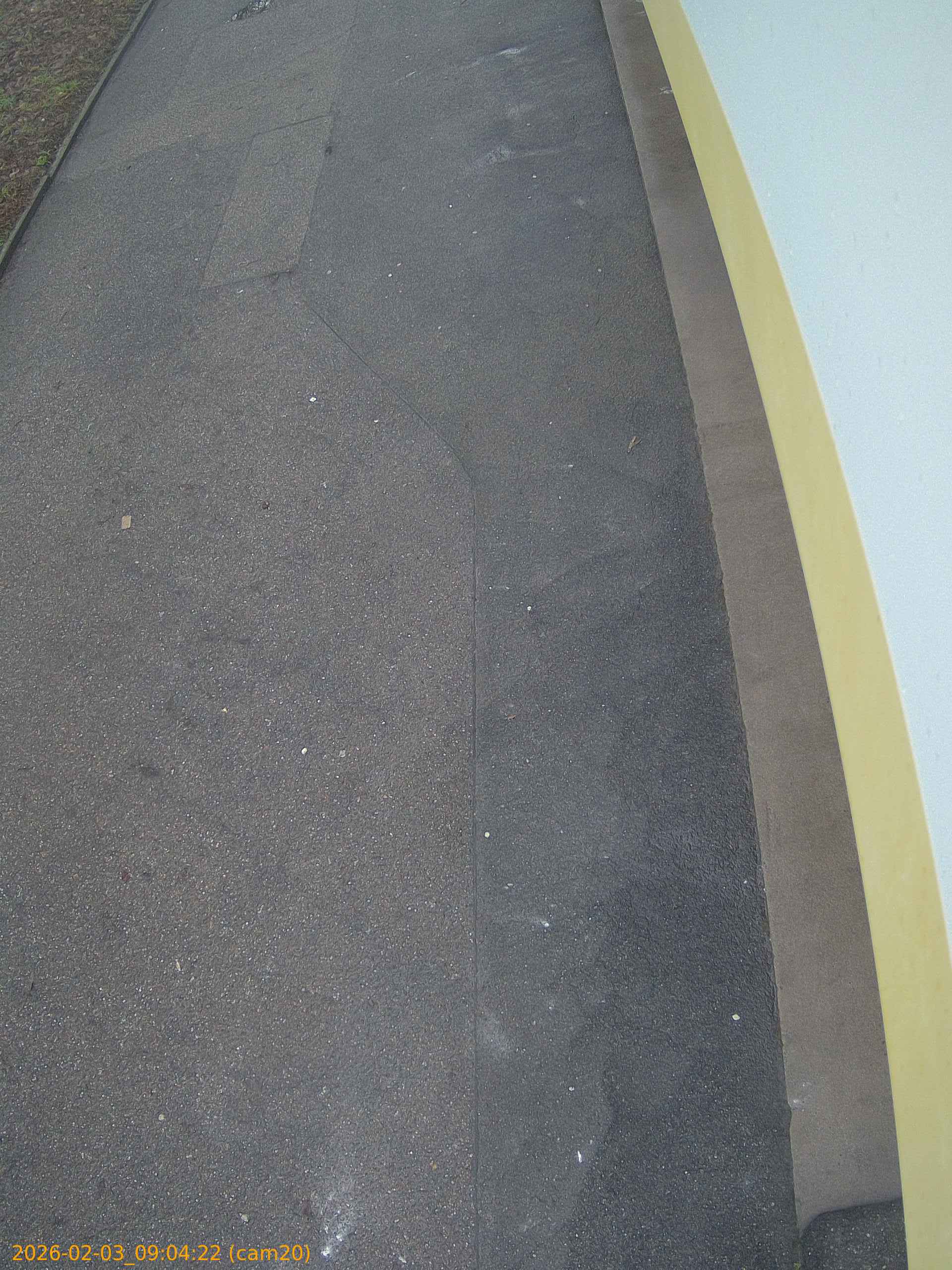 thumbnail_20260203090422